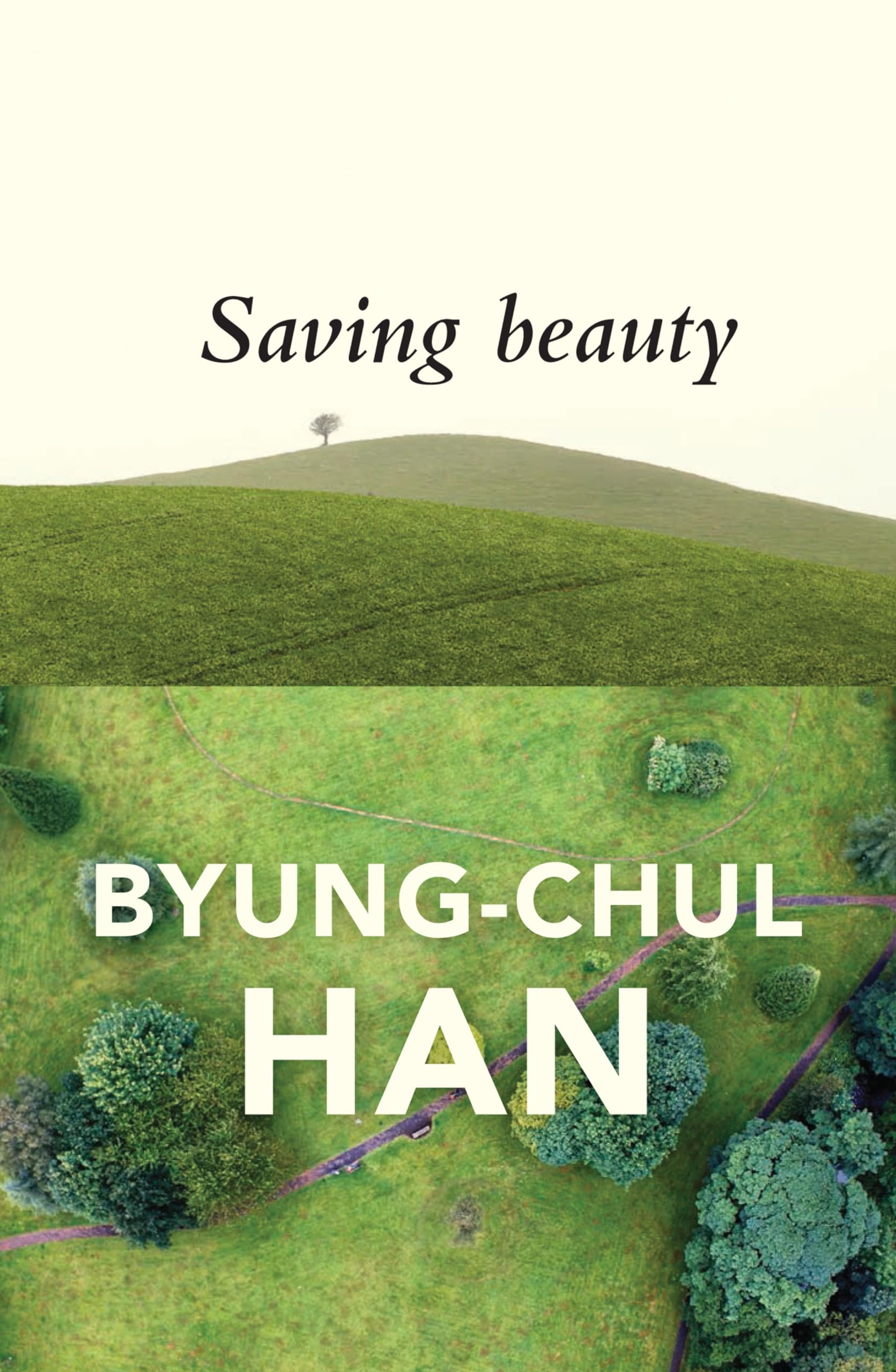 Saving Beauty-Han, Byung-Chul Byung-Chul Han,