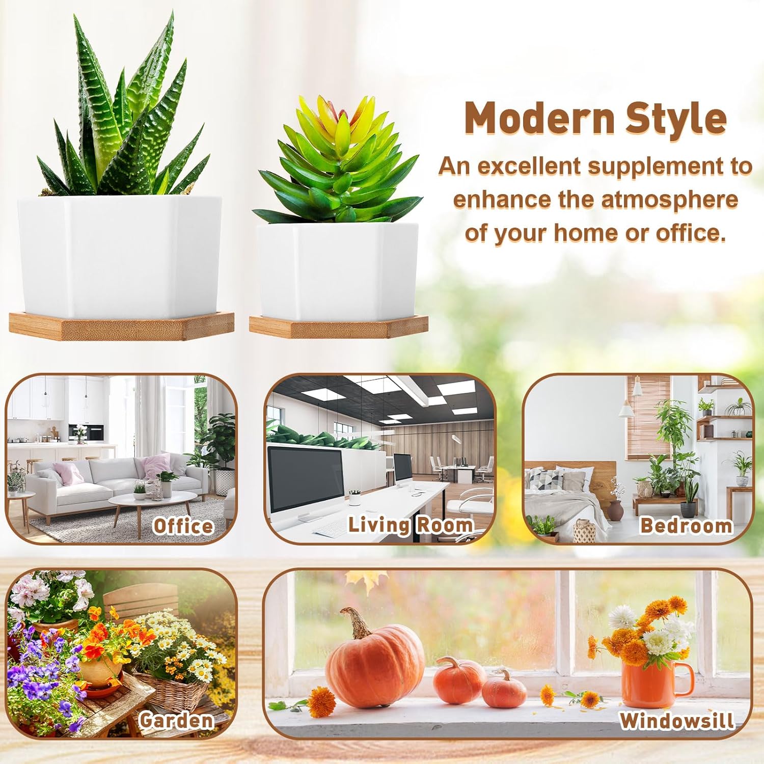 Meanplan 12 Pack Small Succulent Plant Pots Bulk White Ceramic Plant Pots with Bamboo Saucers Hexagon Pot with Drainage Holes for Indoor Outdoor(4", 3")