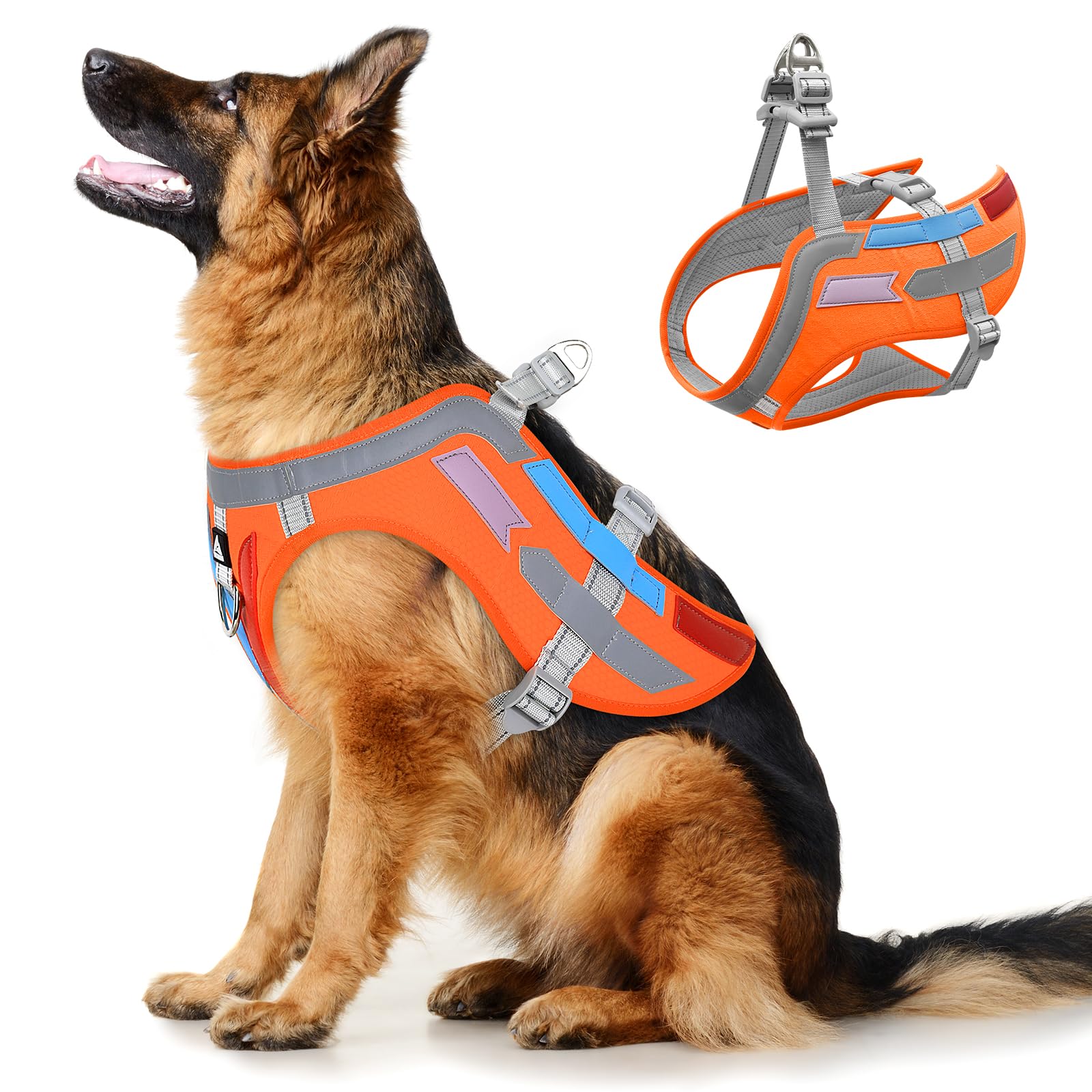 Yellow & Orange Winged Dog Harness