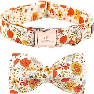 Lionheart glory Premium Dog Collars, Bowtie Dog Collar, Heavy Duty Adjustable Fall Dog Collar for Large Dogs Pumpkin Dog Colla, Collar Dog Bow