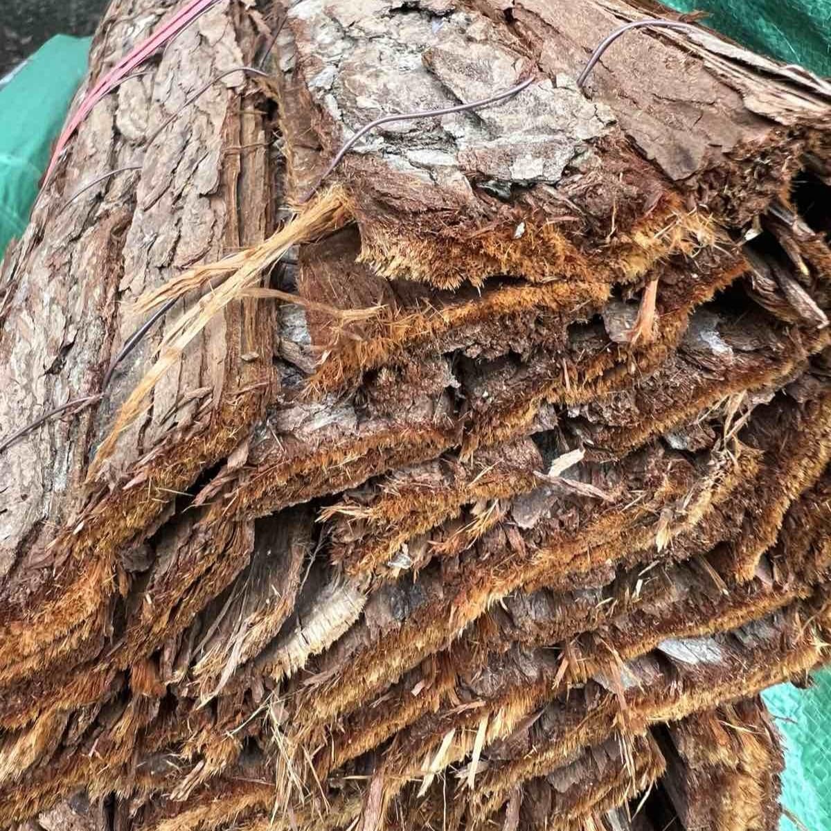 Corteza de Doble Cara – Natural y Estética/Valla corteza de Aveto Ocultación, sombraje o delimitación de jardín, patio. parcela y mas (1 x 3 metros)