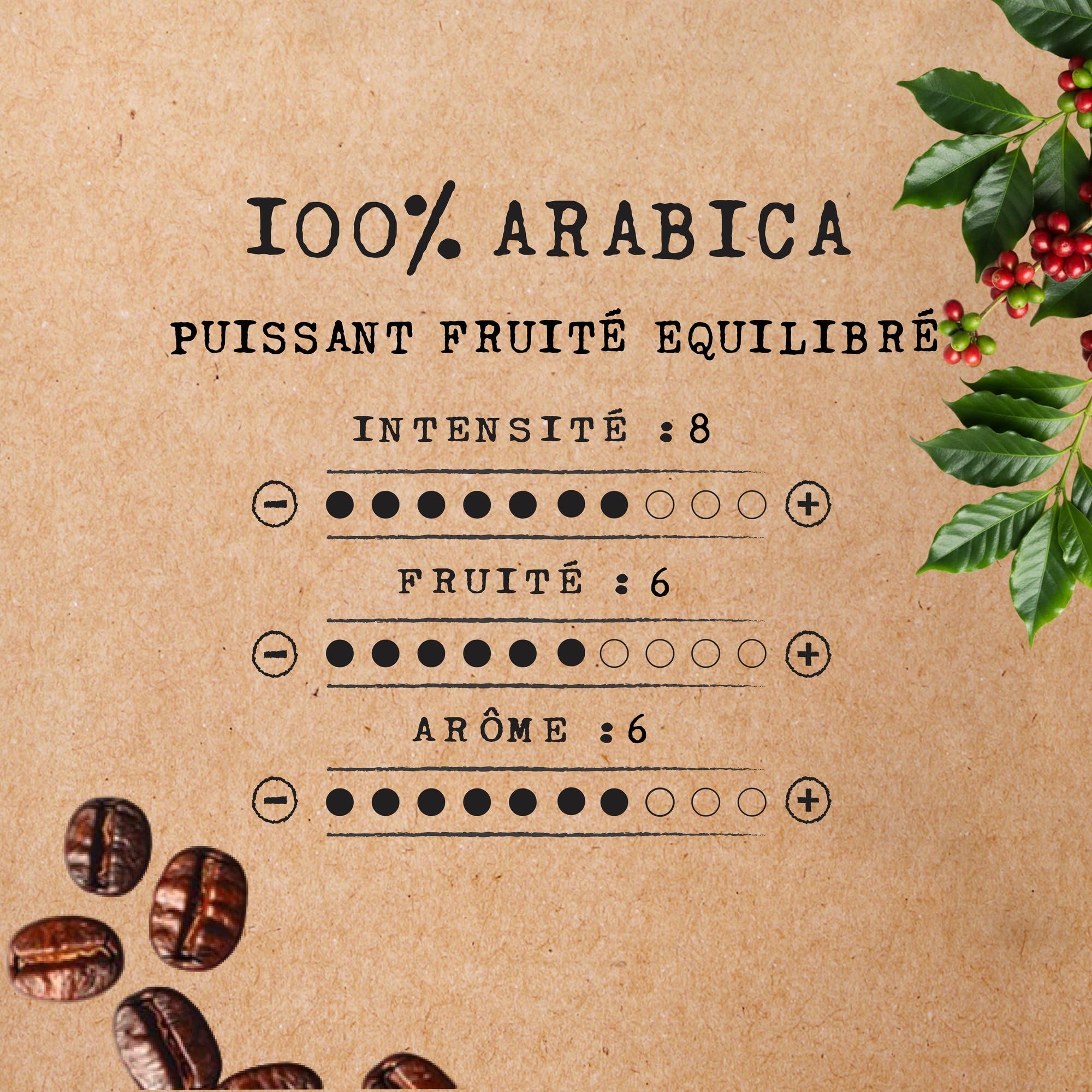 Cafés Méo - Café en Grains Dégustation Pur Arabica - 4 kg - Intensité 8/10 - Arômes Authentiques, Plein et Long en Bouche - Lot de 16 x 250 gr