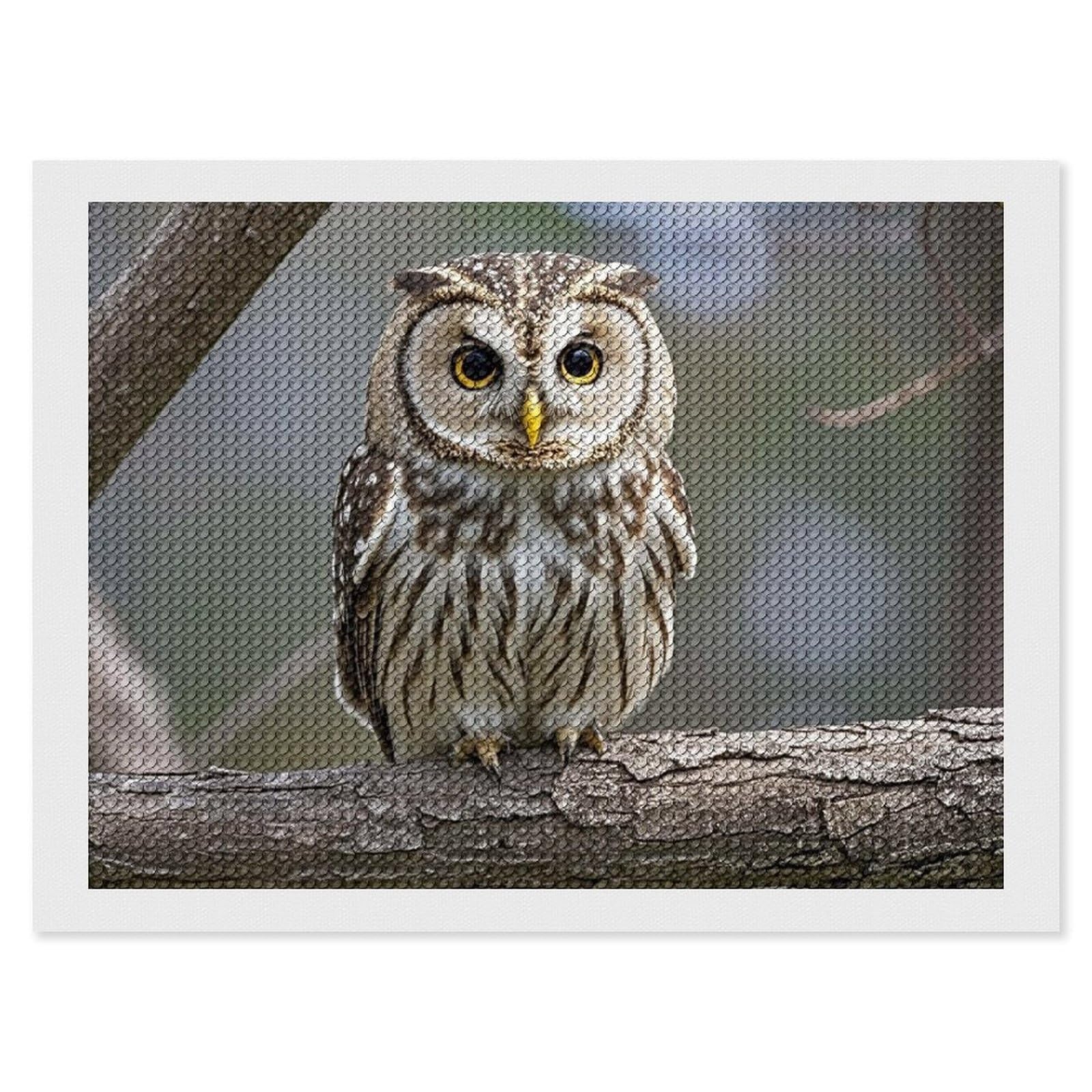 Cute Owl Diamond Painting Kits for Adults, DIY 5D Diamond Painting Kits for Beginners, Round Full Drill Diamond Dots Paintings, Diamonds Pictures Gem Art for Crafts Home Decor 12"x16"