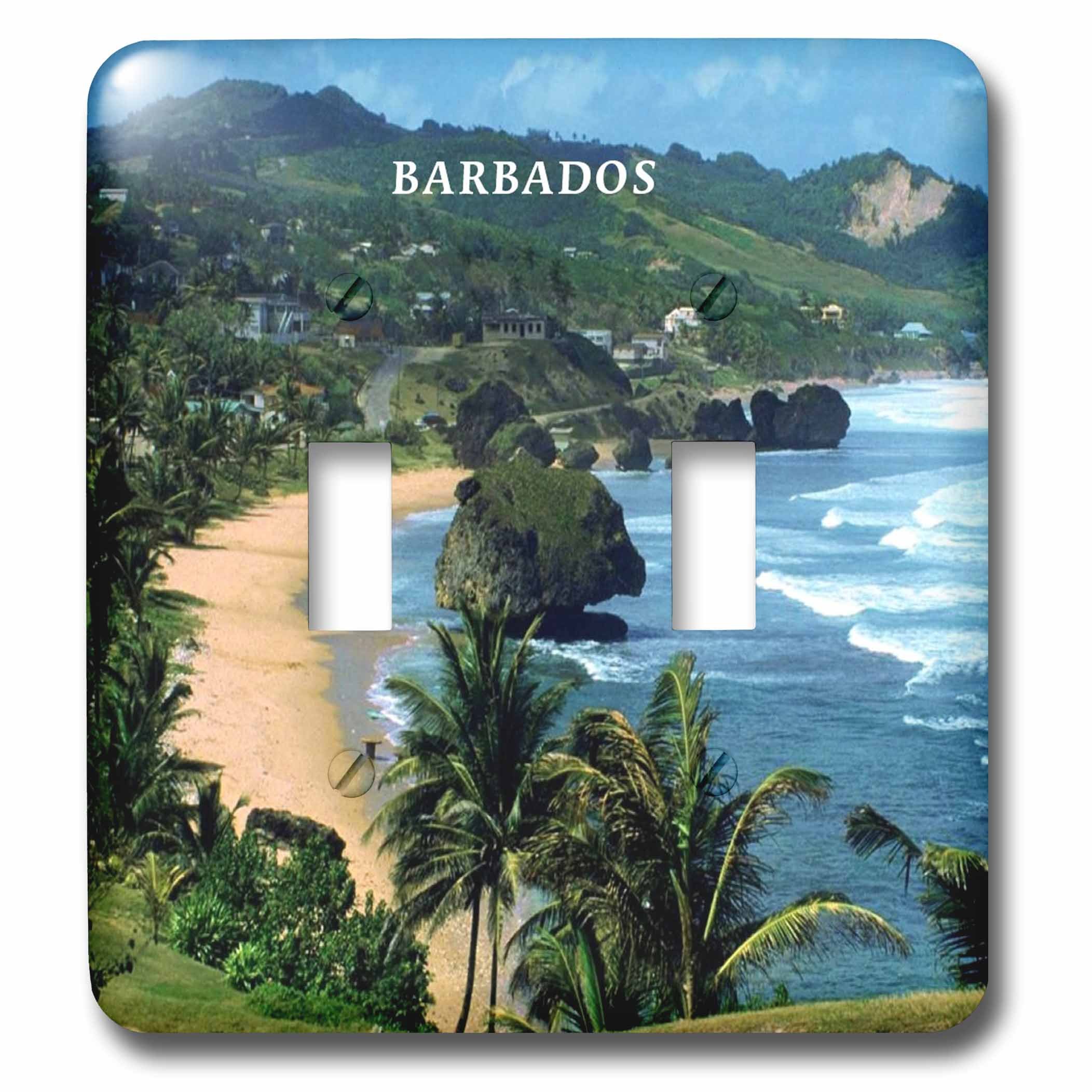 Barbados Beach double interrupteur de qualité supérieure 3dRose lsp_61994_2 design