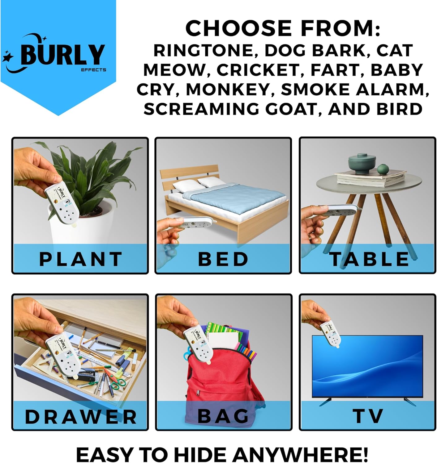 Hidden Noise Maker Gag Prank - 10 Different Sounds - Ringtone, Dog, Cat, Cricket, Fart, Baby Cry, Smoke Alarm, Monkey, Screaming Goat, Bird (2 Pack)