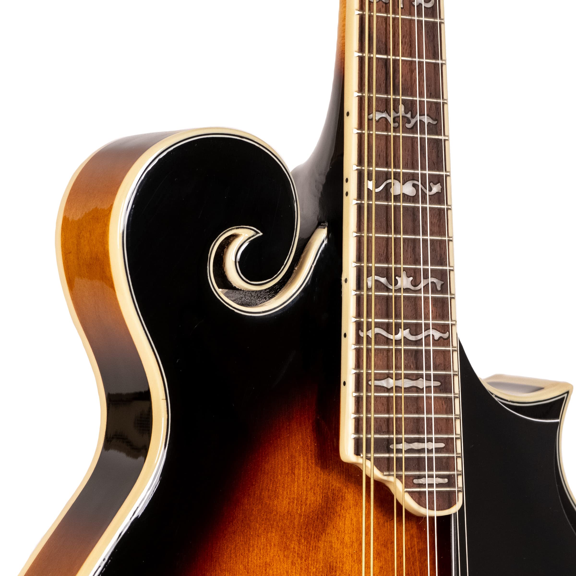 Amazon.com: Gold Tone Mandolina estilo F GM-35 : Instrumentos