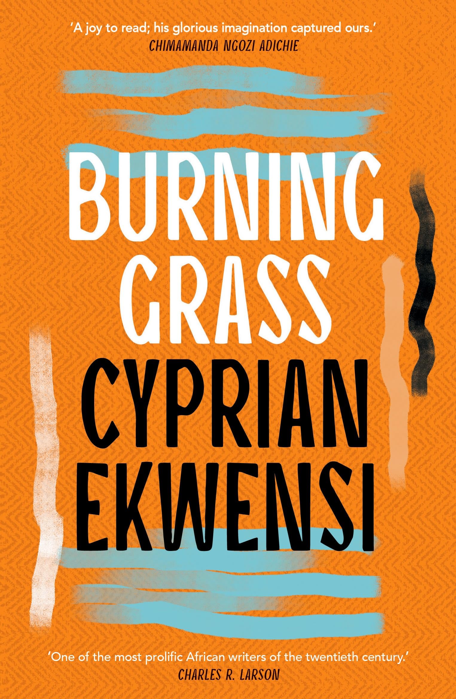 Buy Burning Grass — BookShops.in