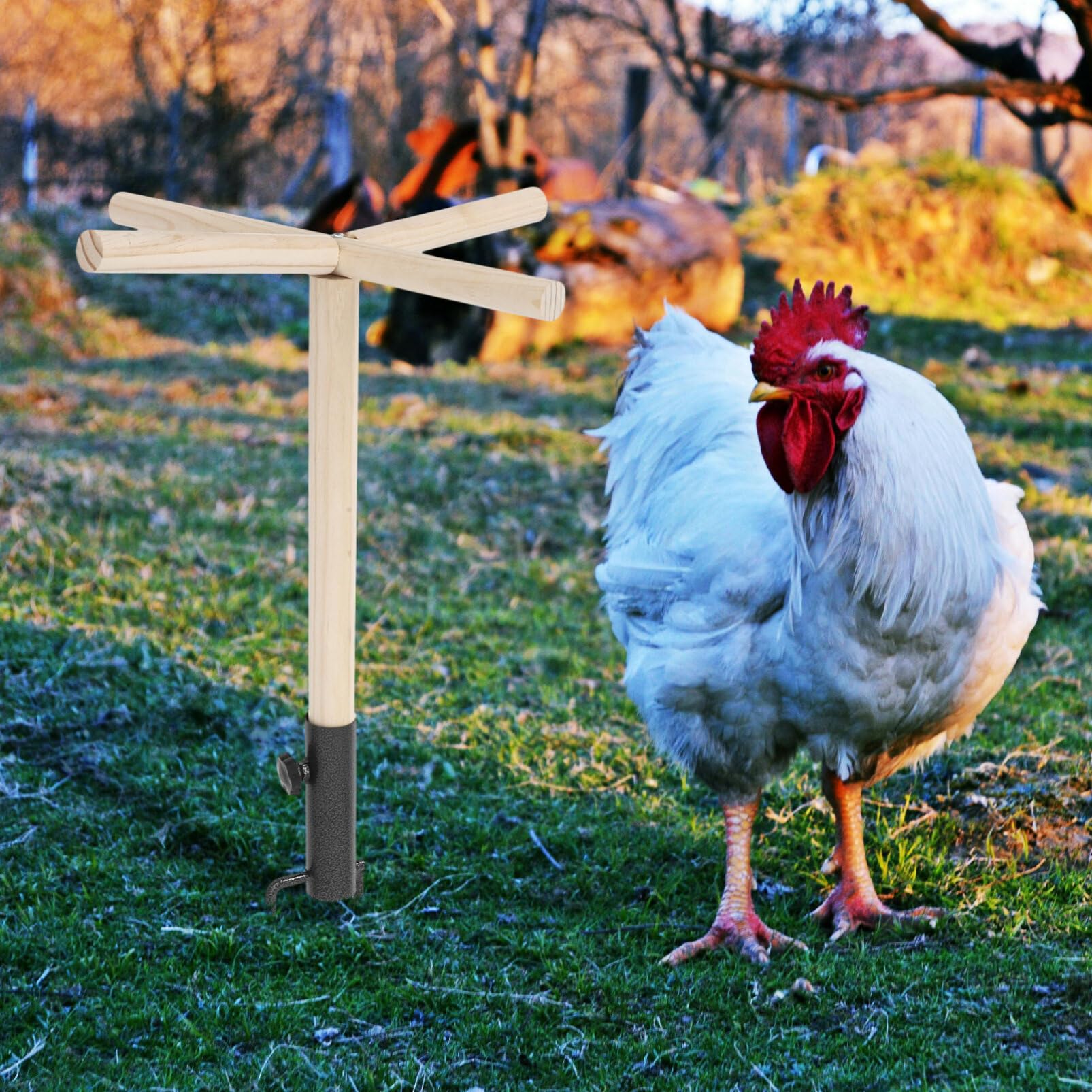 Percha de Madera para Pájaros y Pollos Buena Textura | Soporte de Hierro, Uso en Juego, Acabado Natural, para Gallinas y Aves en Espacios Exteriores