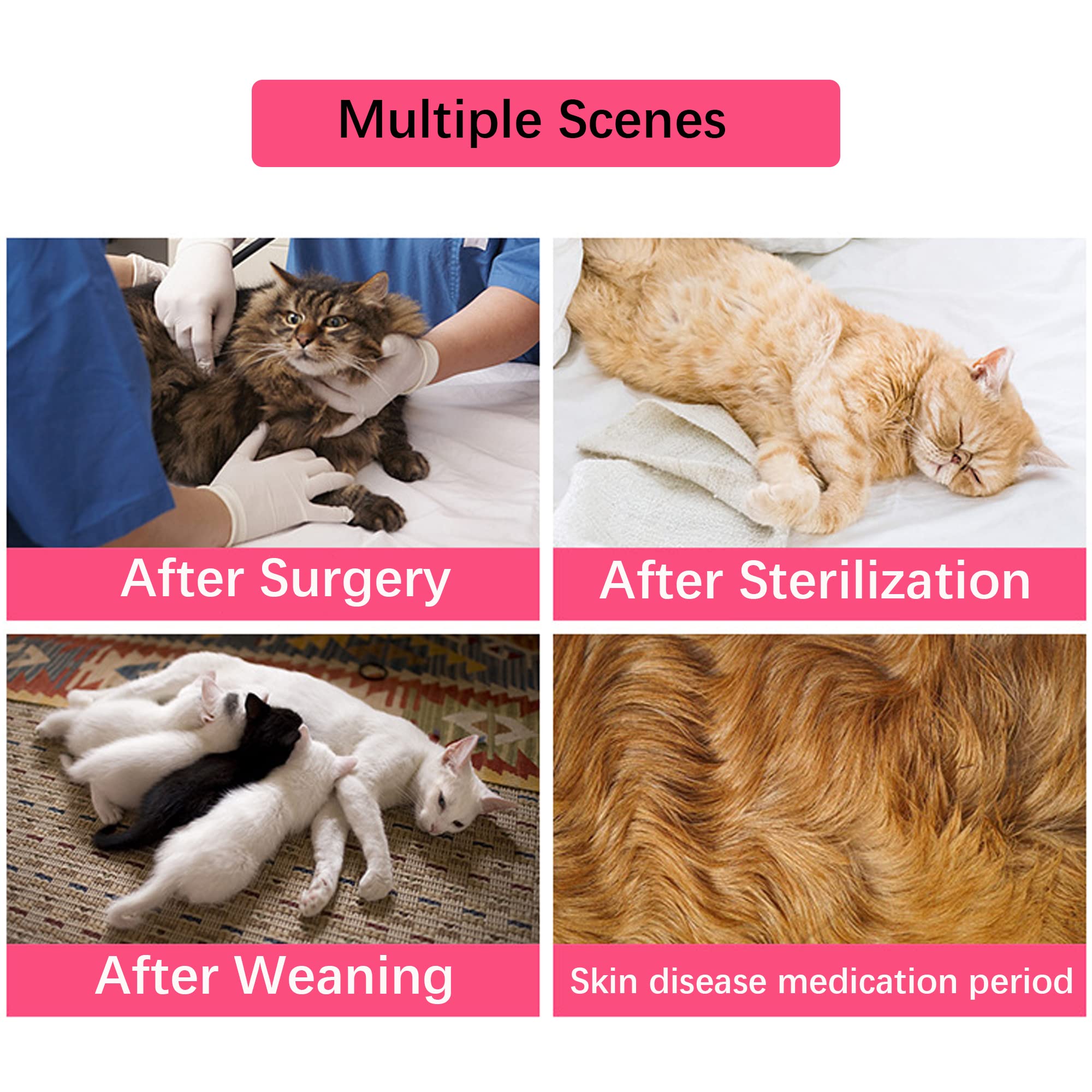 M 2.5-3.5kg Cat Professionnel Restauration Convient pour abdominaux Collerette des plaies ou des Maladies de la Peau, Gilet Chat Anti lechage, après la Chirurgie Porter (Rose)