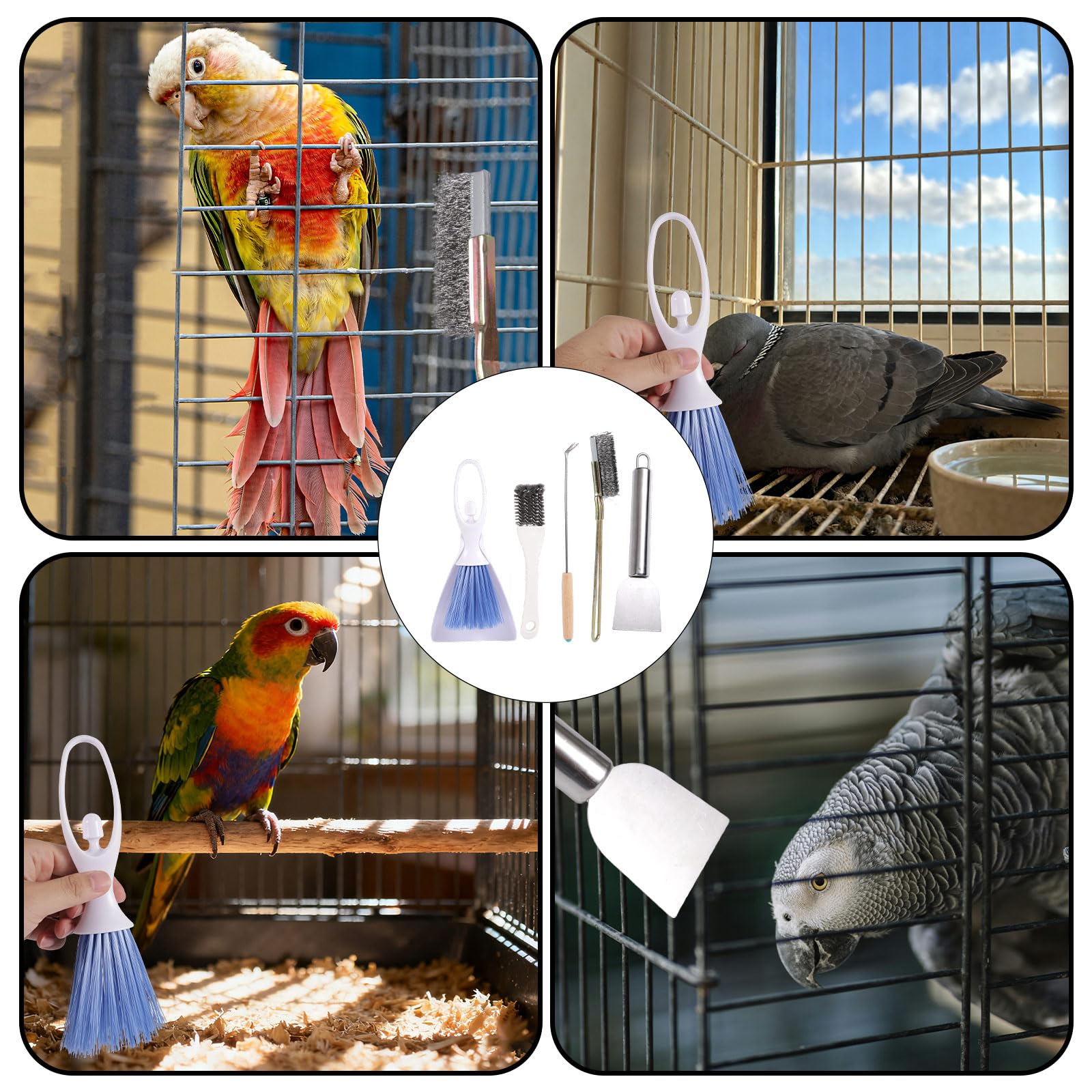 5pz Uccelli Gabbie Ulitore Set, Spazzola Pulizia Gabbie Uccelli Acciaio Inossidabile Strumento Rimozione e Raschiatura degli Escrementi Piccoli Animali per Parrocchetti Conigli Criceti