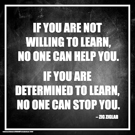 Syndicats européens du jeu vidéo unissent leurs forces pour lutter contre l'exploitation des travailleurs 6 81h4lTFhWRL. AC SY450 Culturenik Hilary Hinton Ziglar Determined to Learn Inspirational Motivational Speaker Author Celebrity Quote Classroom Print (Unframed 12x12 Poster)