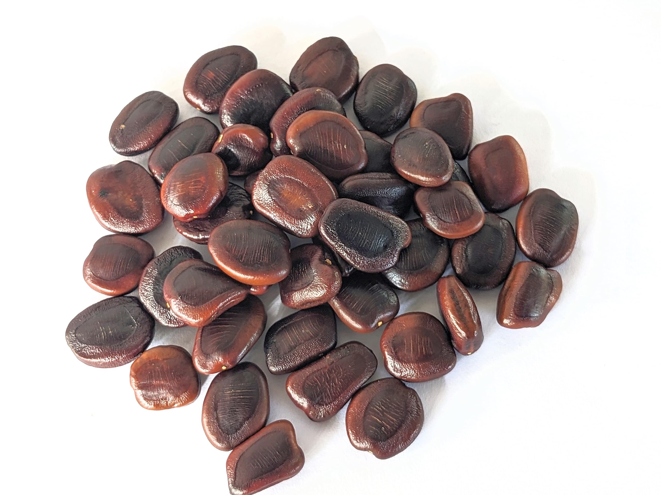 PT Tamarind Seeds - New Fresh and Damage checked Seeds | First Quality | - (500 grams) (B0BGK8QC1R) Amazon Price History, Amazon Price Tracker
