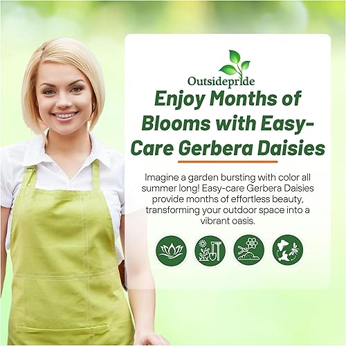 Miniatura 6 de Outsidepride 20 semillas perennes de otoño colores gerbera flor semilla mezcla para plantar