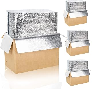 Whaline 4 Pack Insulated Shipping Box with Foil Aluminum Bag Liner Resuable Cold Carton Cooler Boxes Food Delivery Box for Frozen Perishable Item Packing Moving, 8.7x5.1x6.3”