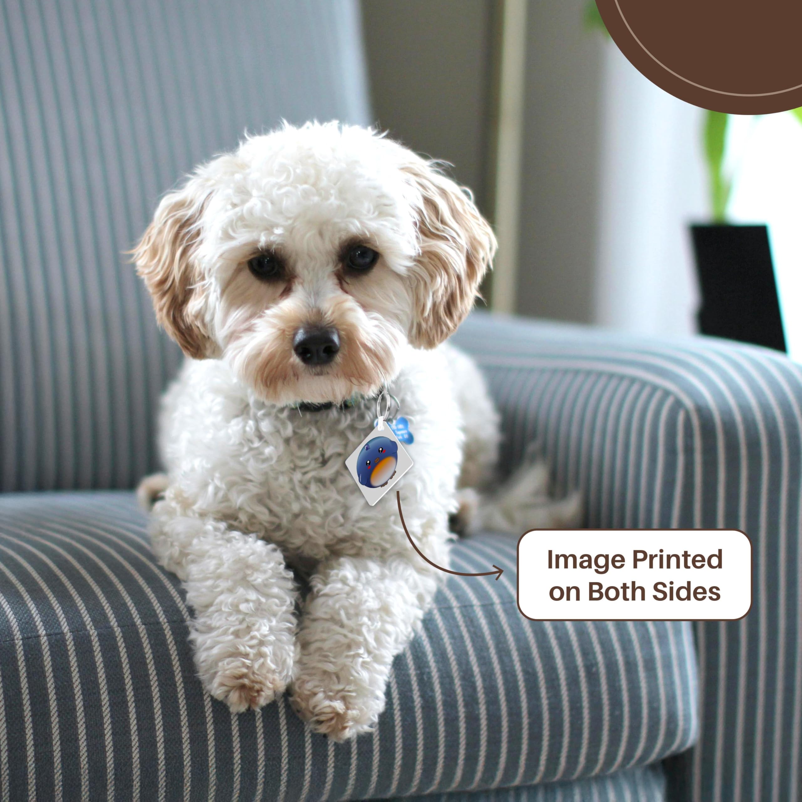 3dRose, Cute bluebird - kawaii blue bird cartoon - sweet adorable round birdy anime style - kids children, set of 6 Key Chains