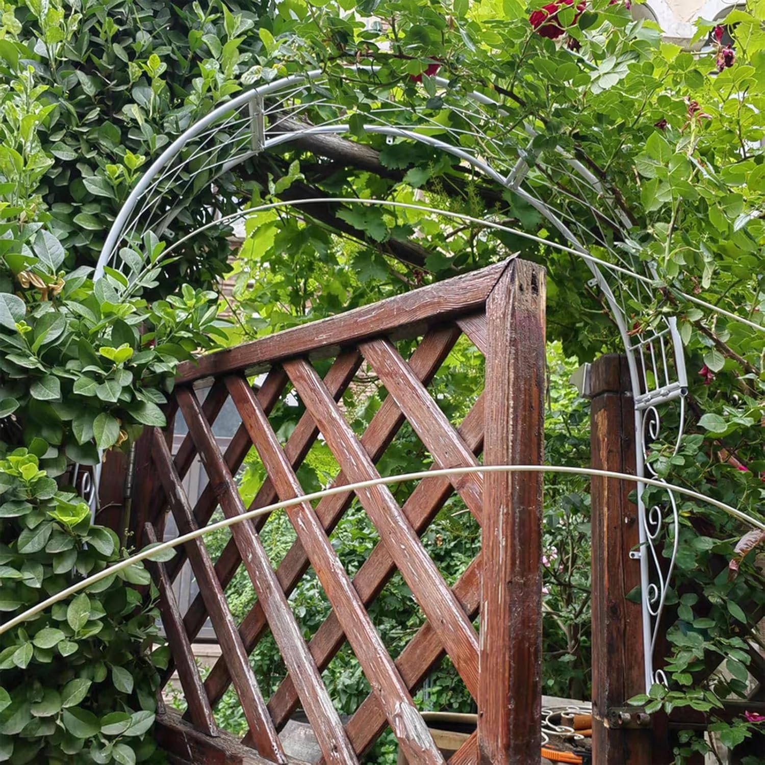 Metal Garden Arch Trellis Wall Mounted Rose Arch Garden Trellis for Windows Doors Entrances for Climbing Plants Garden Archway