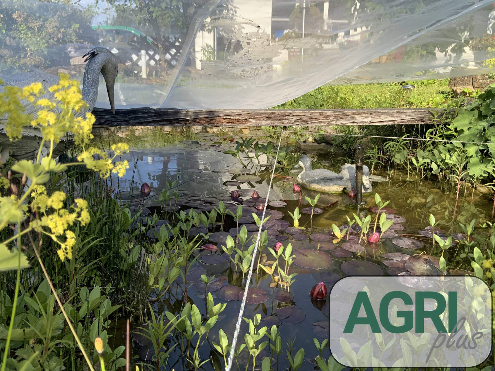 AGRIplus - Rete per laghetto, 2 x 30 m, resistente ai raggi UV e antistrappo, contro le foglie in autunno, come repellente per uccelli e gatti, rete di protezione per laghetti da giardino