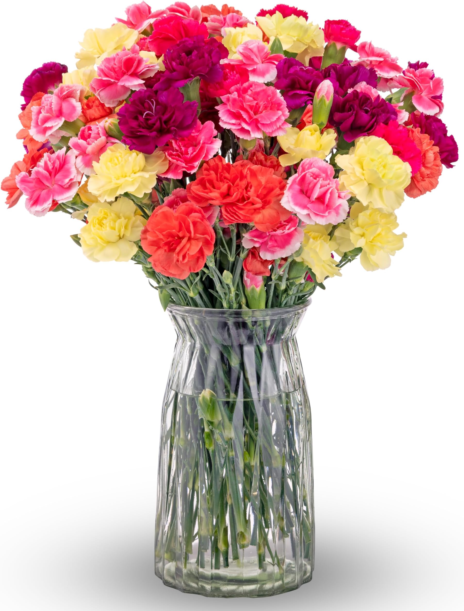 Benchmark Bouquets Mini Carnation Bouquet โ Fresh Flowers for Delivery โ Pink Yellow Purple Flowers โ Fresh Floral Arrangement โ Gifts for Graduation, Birthdays, Get Well โ Glass Vase Included