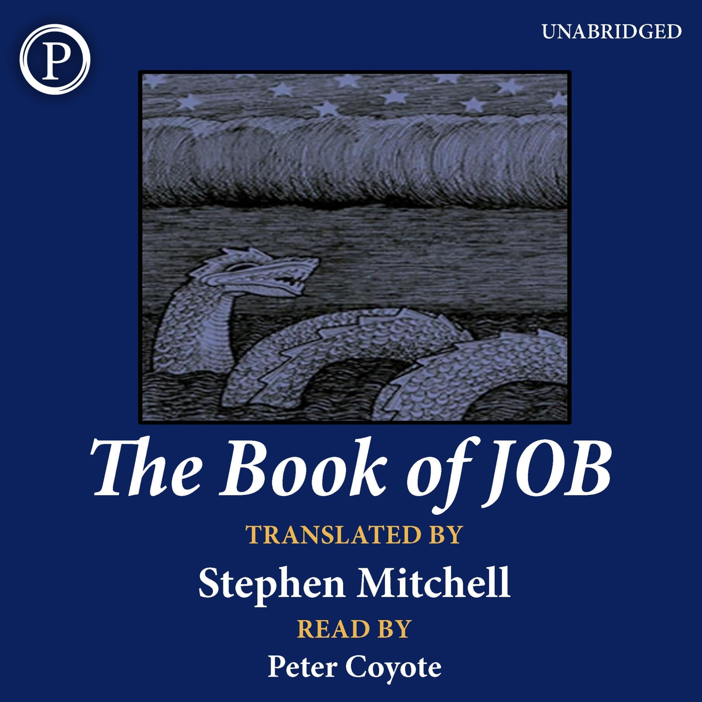 Cover art for The Book of Job