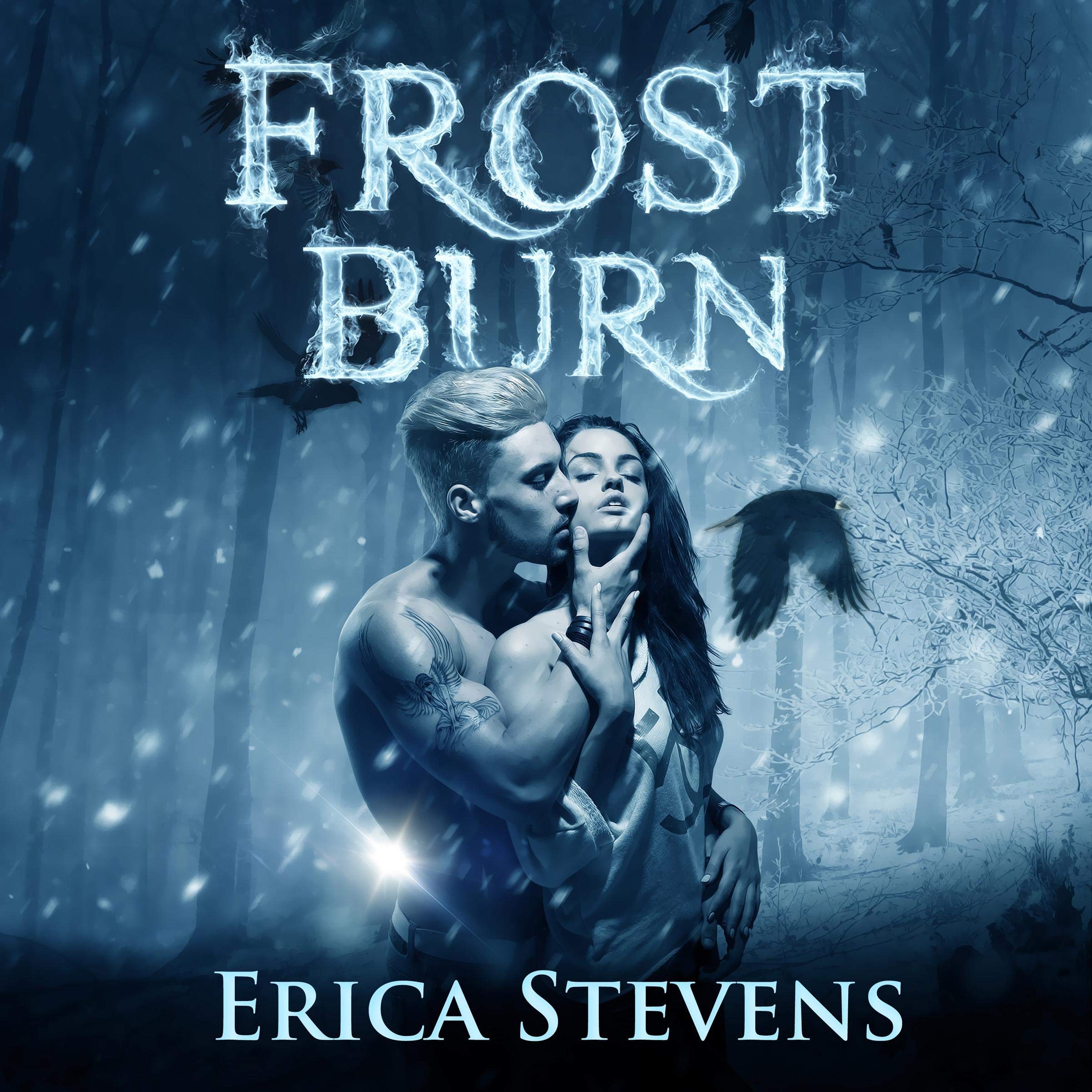 Cover art for Frost Burn