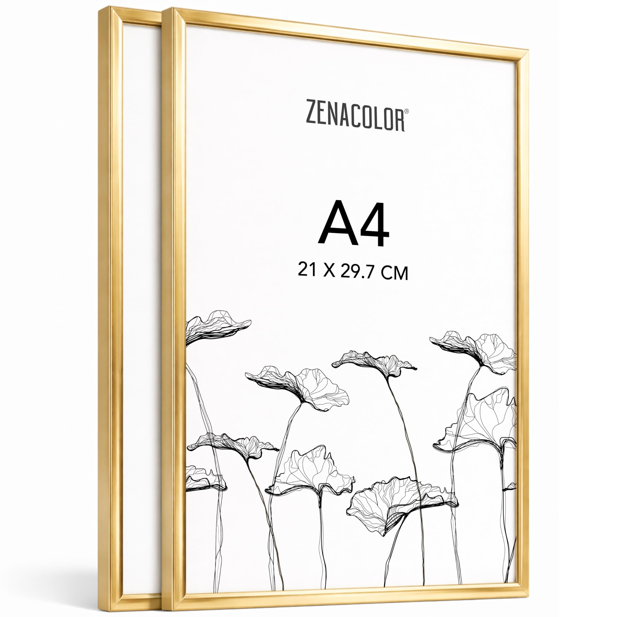 Zenacolor