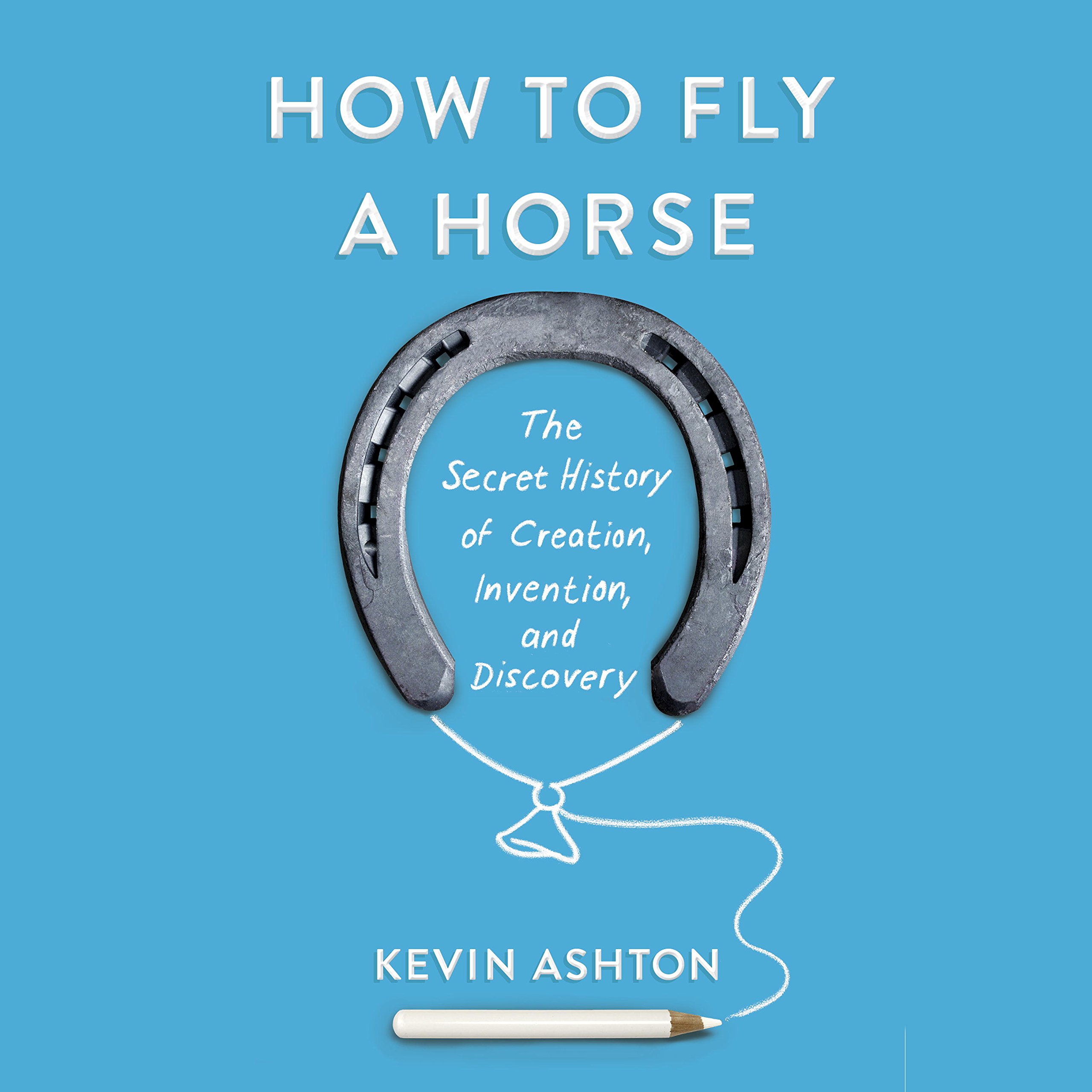 Cover art for How to Fly a Horse
