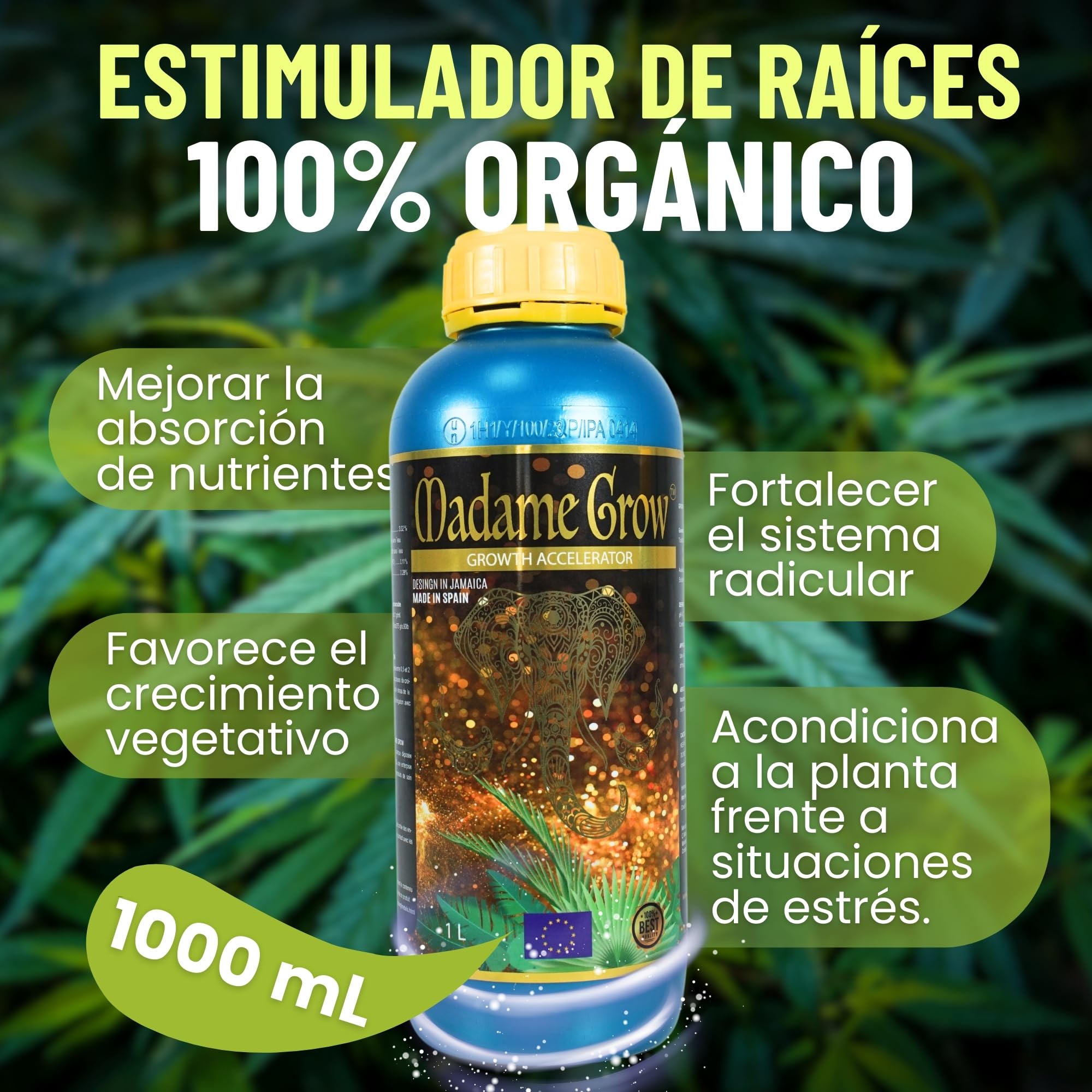 MADAME GROW Growth Accelerator 1 Litro | Enraizante Orgánico y Abono Crecimiento 2 en 1 | Estimulador de Raíces Blancas | Fertilizante Crecimiento para Esquejes y Trasplantes