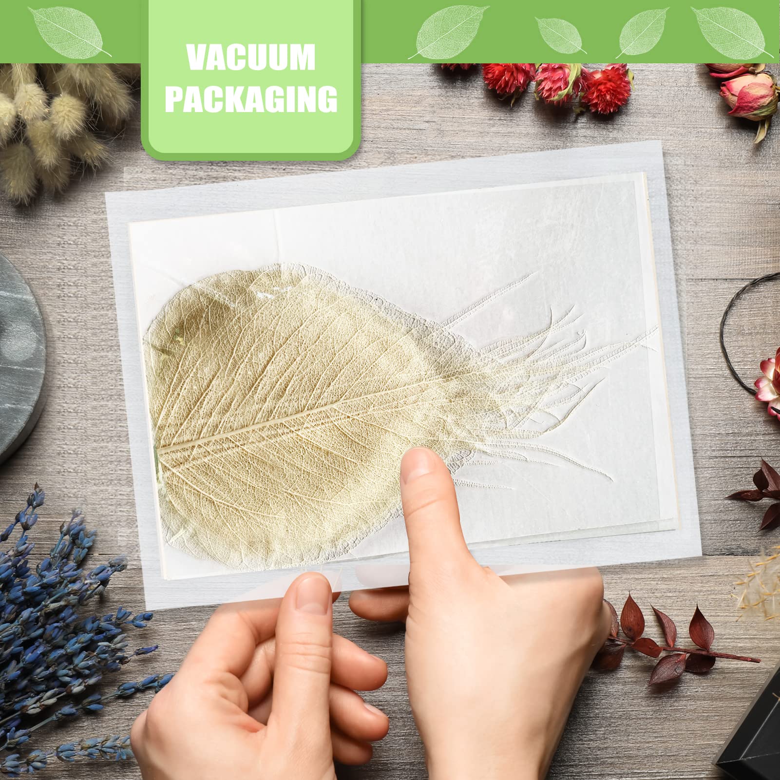 Getrocknete gepresste Skelettblätter für Harz, 42 Stück, weiß, natürlich, echt, trocken, BodhiSkelett-Blattadern für Harzkunst, DIY, Basteln, Karten, Scrapbooking, Handyhülle, Hochzeitsdekoration