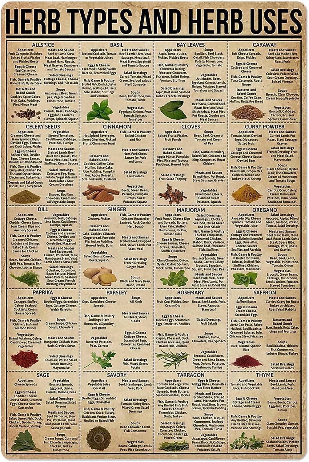rayprint Herb Types and Herb Uses Knowledge Posters Metal Sign Home Kitchen Bar Cafe Club Cave Wall Decor 12 × 16 Inches