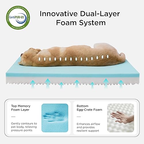 Miniatura 2 de Bedsure Cama de Espuma Viscoelástica para Jaula de Perros para Perros Extra Grandes - Camas Ortopédicas XL para Mascotas con Funda Removible Lavable