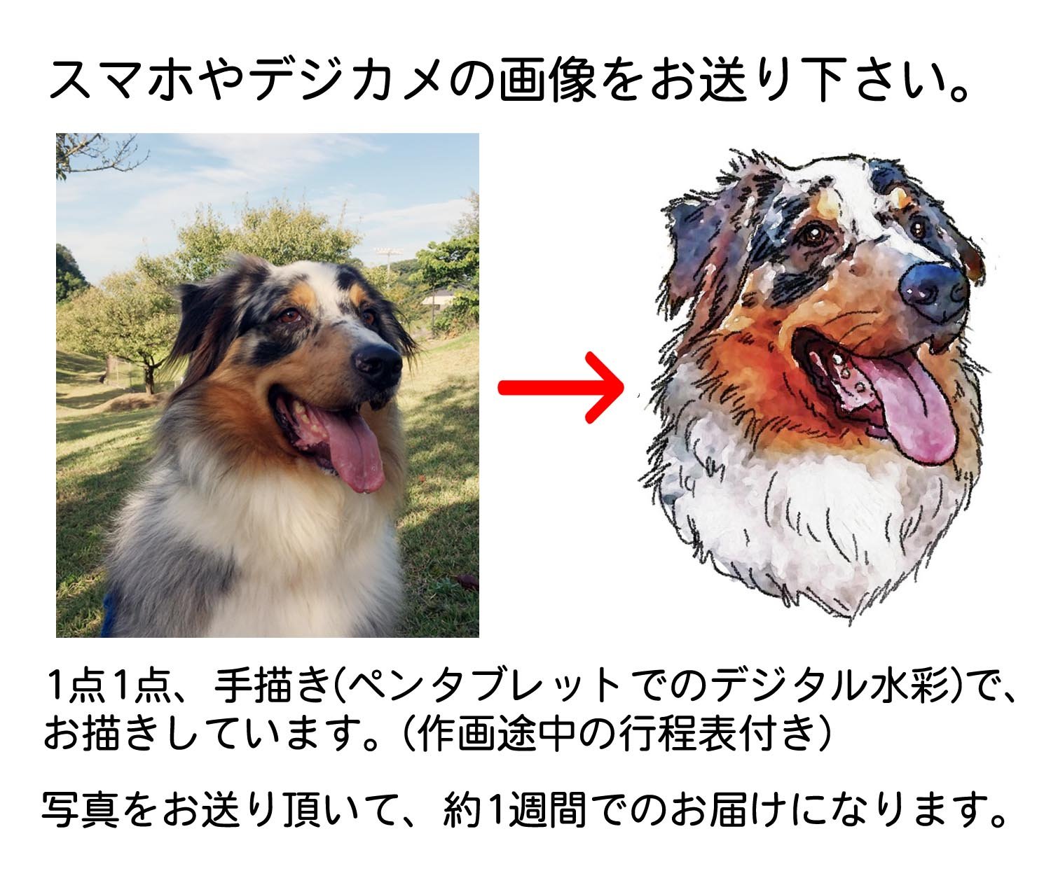 動物画、ペット画(本格水彩画) ミックス猫2匹の絵【完成例】ダブルポートレートのペット肖像画