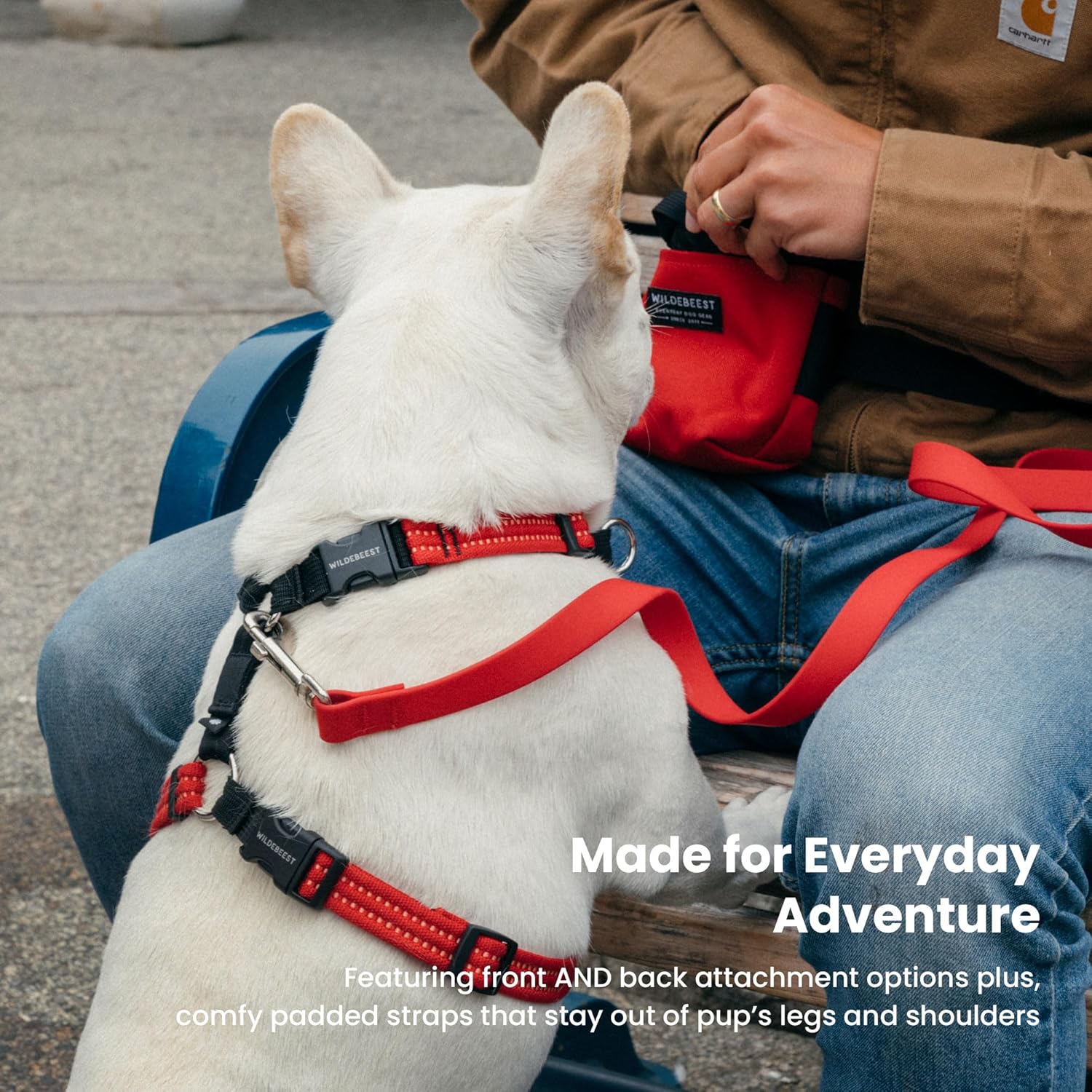 Wildebeest Valencia No Pull Dog Harness | Front and Back Leash Clips | Soft Padded Straps | Lightweight, Adjustable, Easy On/Off for Training and Dog Walking | X-Small Red
