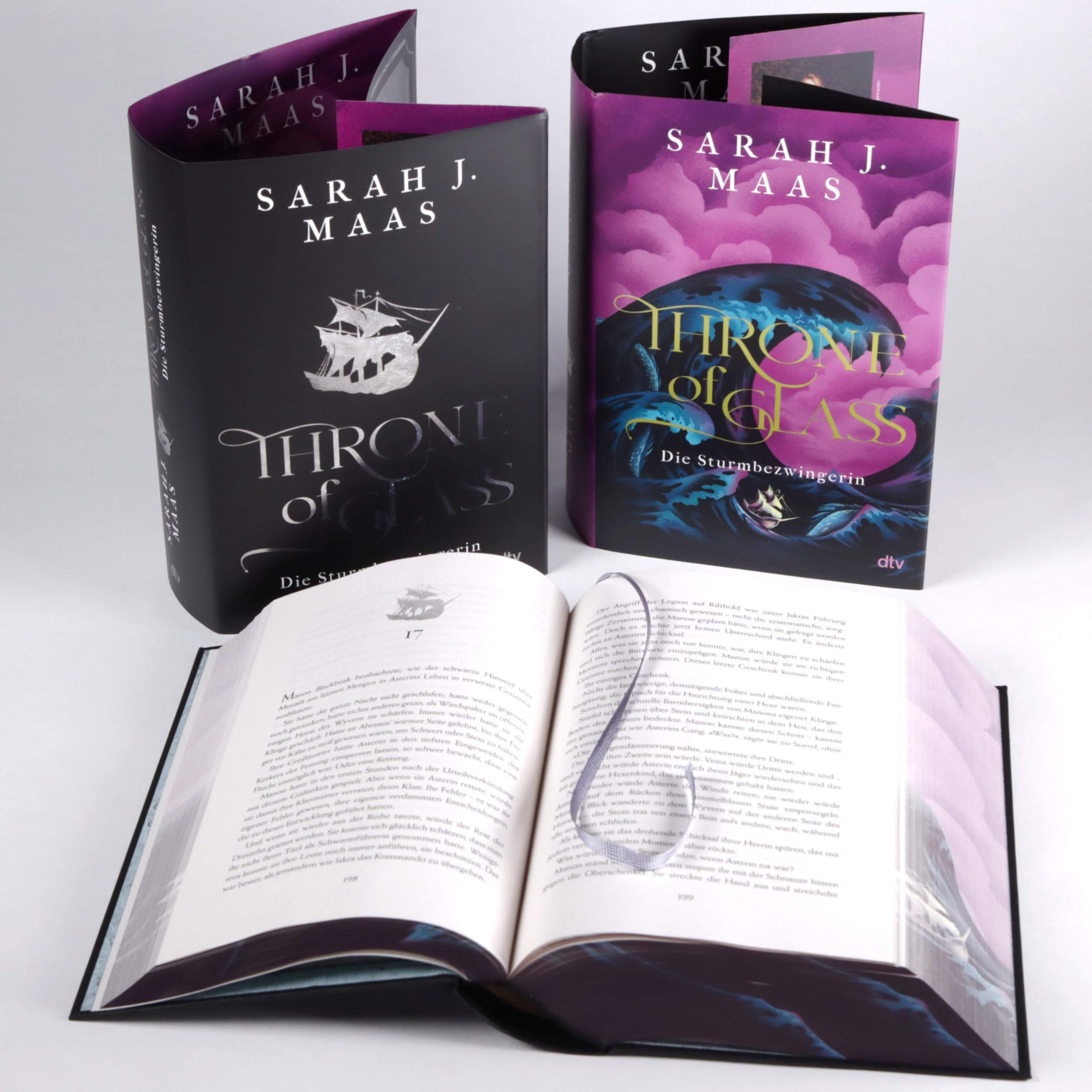 Throne of Glass – Die Sturmbezwingerin: Limitierte Sonderausgabe mit Wendeumschlag und hochveredelter Gestaltung (Die Throne of Glass-Reihe, Band 5)