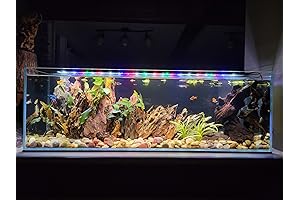 LIFEGARD Crystal Clear Horizon Aquarium