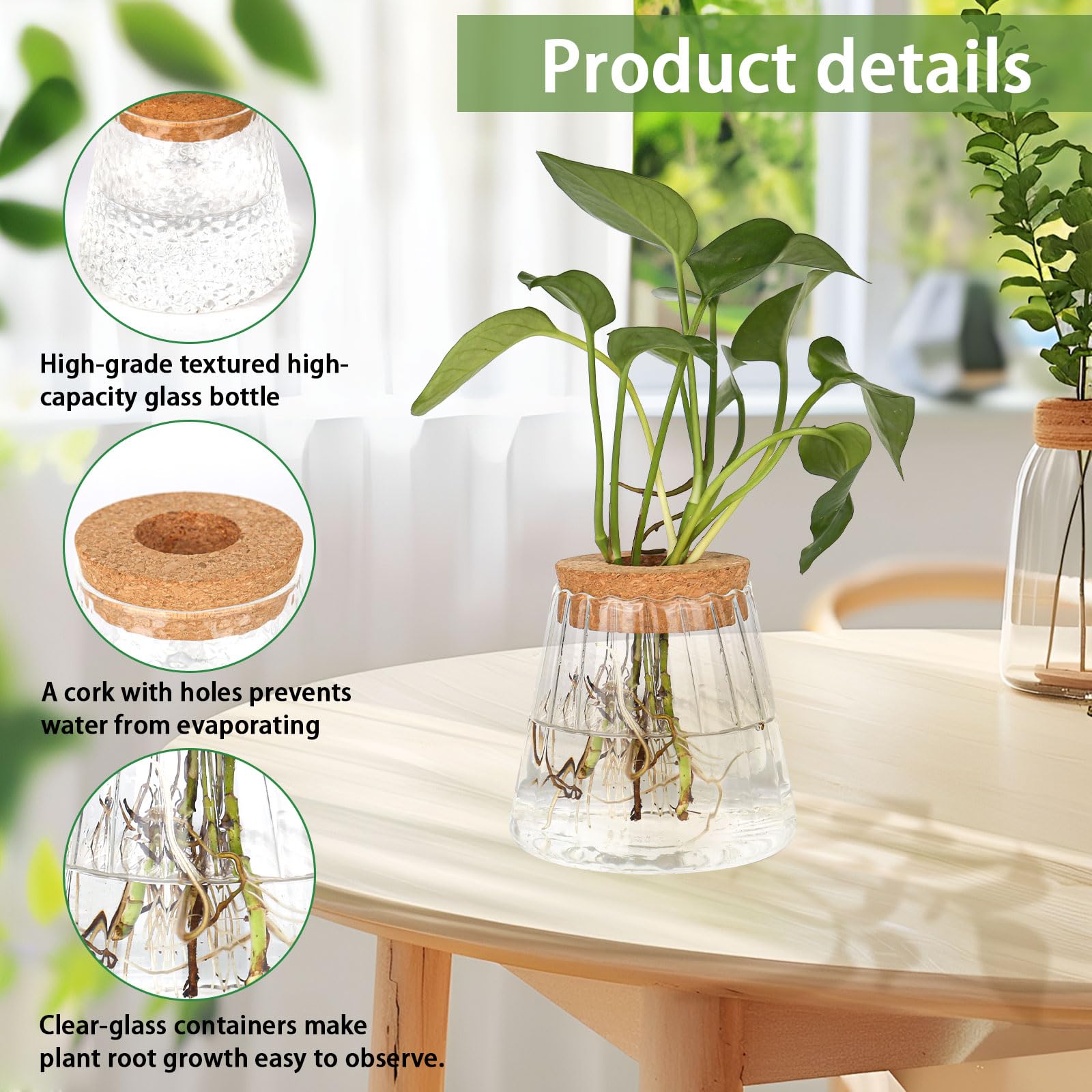 Amazon.de: MJFENDAI 2 Stck Hydrokultur Pflanzen Terrarium, Vintage Kleine  Vasen fr Tischdeko, Glasvase Propagation Station Kugelvase fr Plant  Blumen Zimmerpflanzen Pflanze Hydrokultur