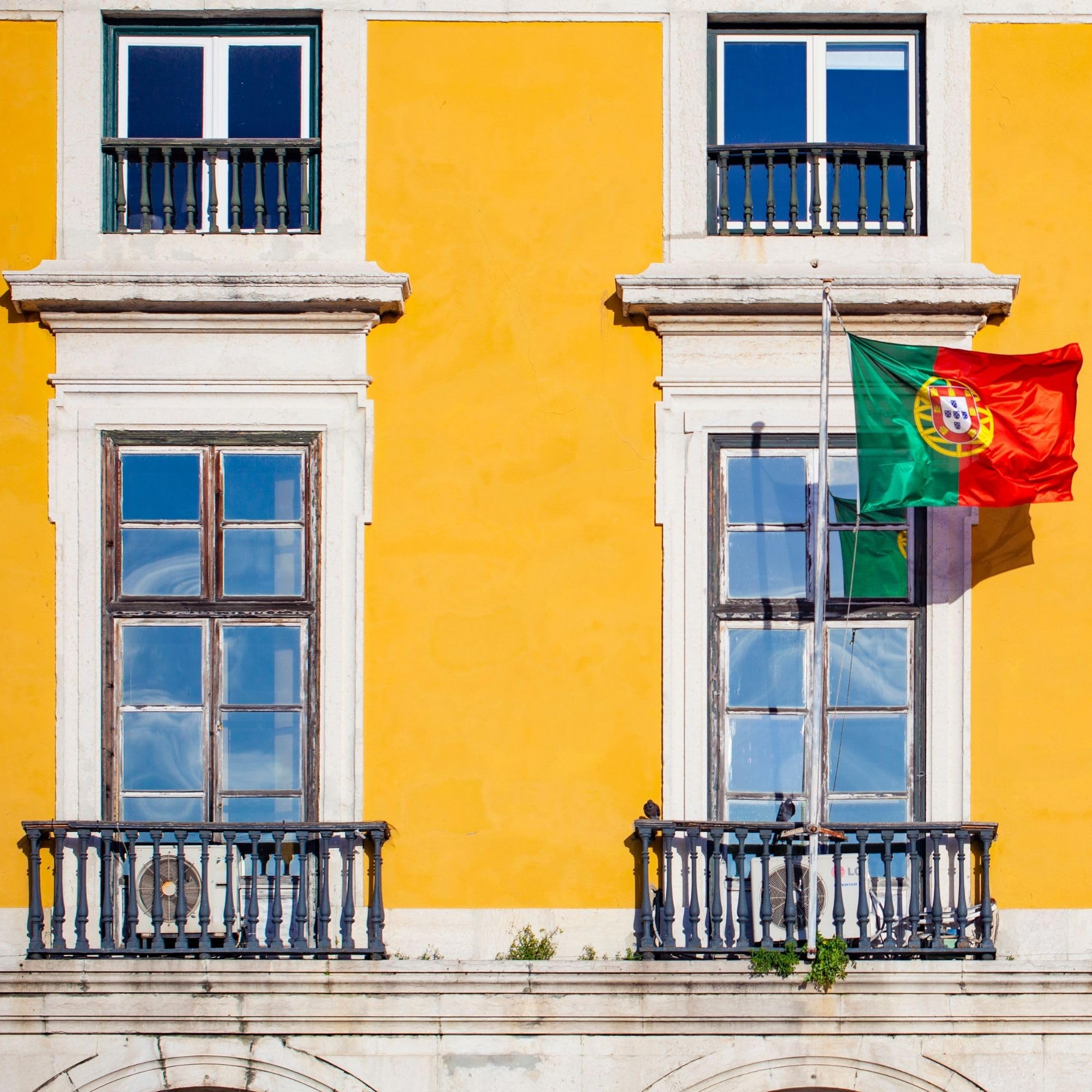 Bandera De Portugal Grande 5 X 3 FT Europa - Etsy España