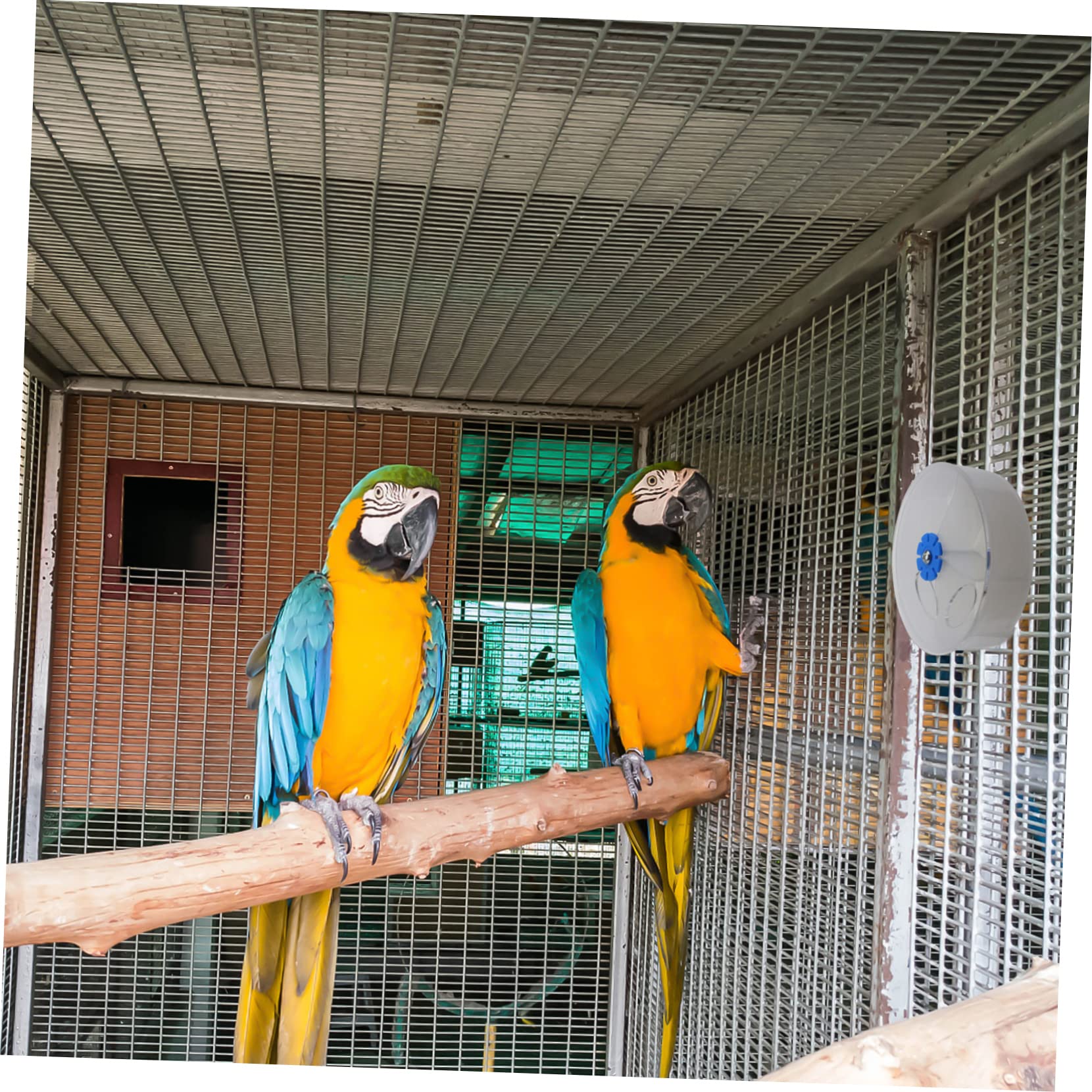 1PC Parrot Supplies Acrylic Foraging Ball Puzzle Pet Parrot Finding Food Box-Pet Supplies - image 6