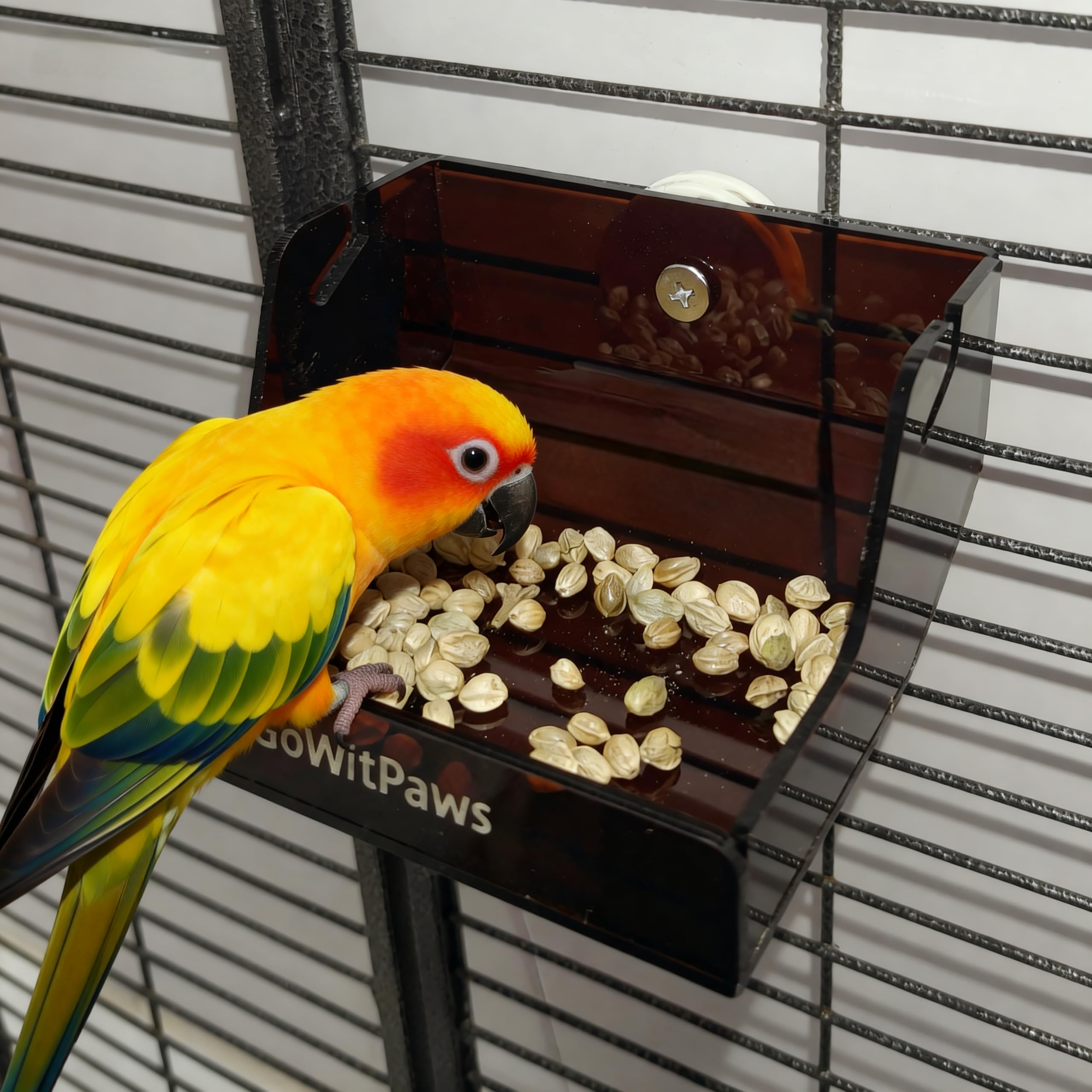 GoWitPaws Rolling Treat Dispenser, Dual Wooden Roller Foraging Toy with Tea-Colored Acrylic Tray, Interactive Puzzle Feeder for Small and Medium Parrots - image 7