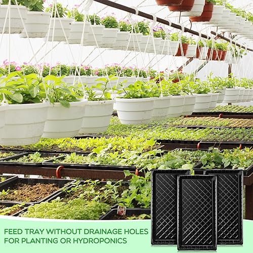 Miniatura 5 de Macarrie 16 bandejas de cultivo de plantas, bandejas de cultivo de semillas de jardín, sin agujeros de drenaje, bandeja de propagación negra para