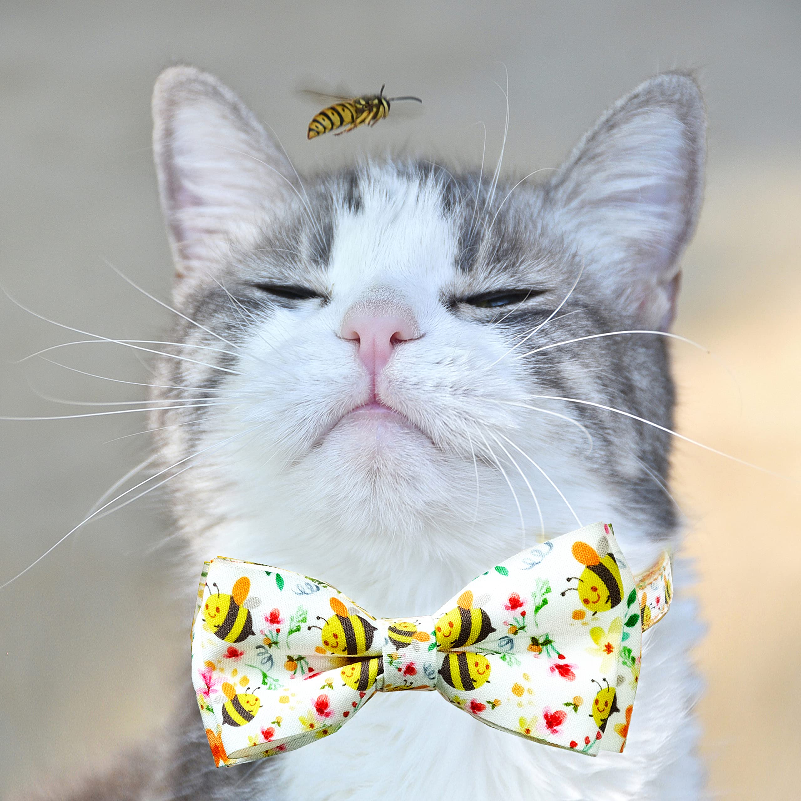 Amazon | 2パック 春夏 キャットカラー 蝶ネクタイ ミツバチ