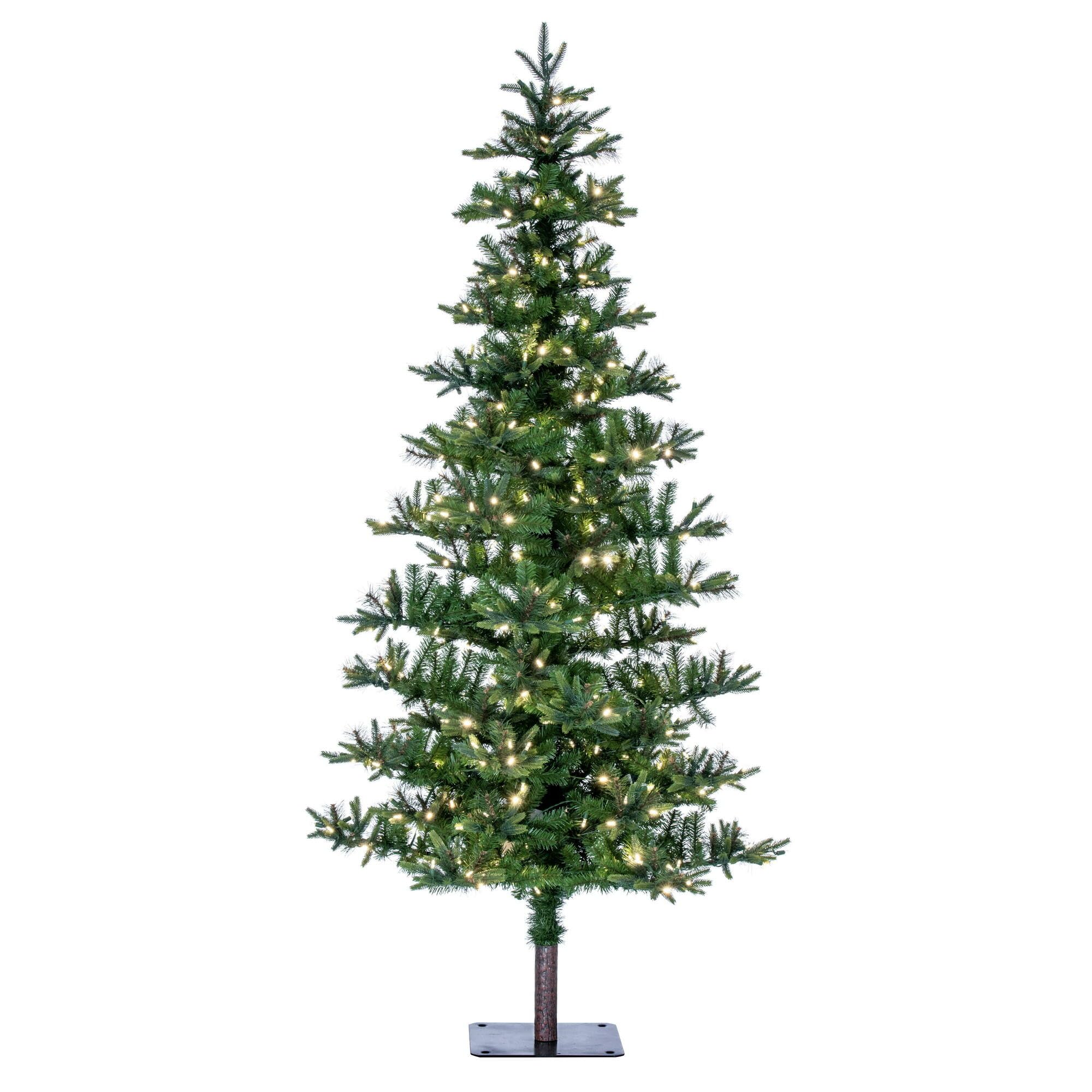 Amazon.com: Vickerman 7' Shawnee Fir Artificial Christmas Tree