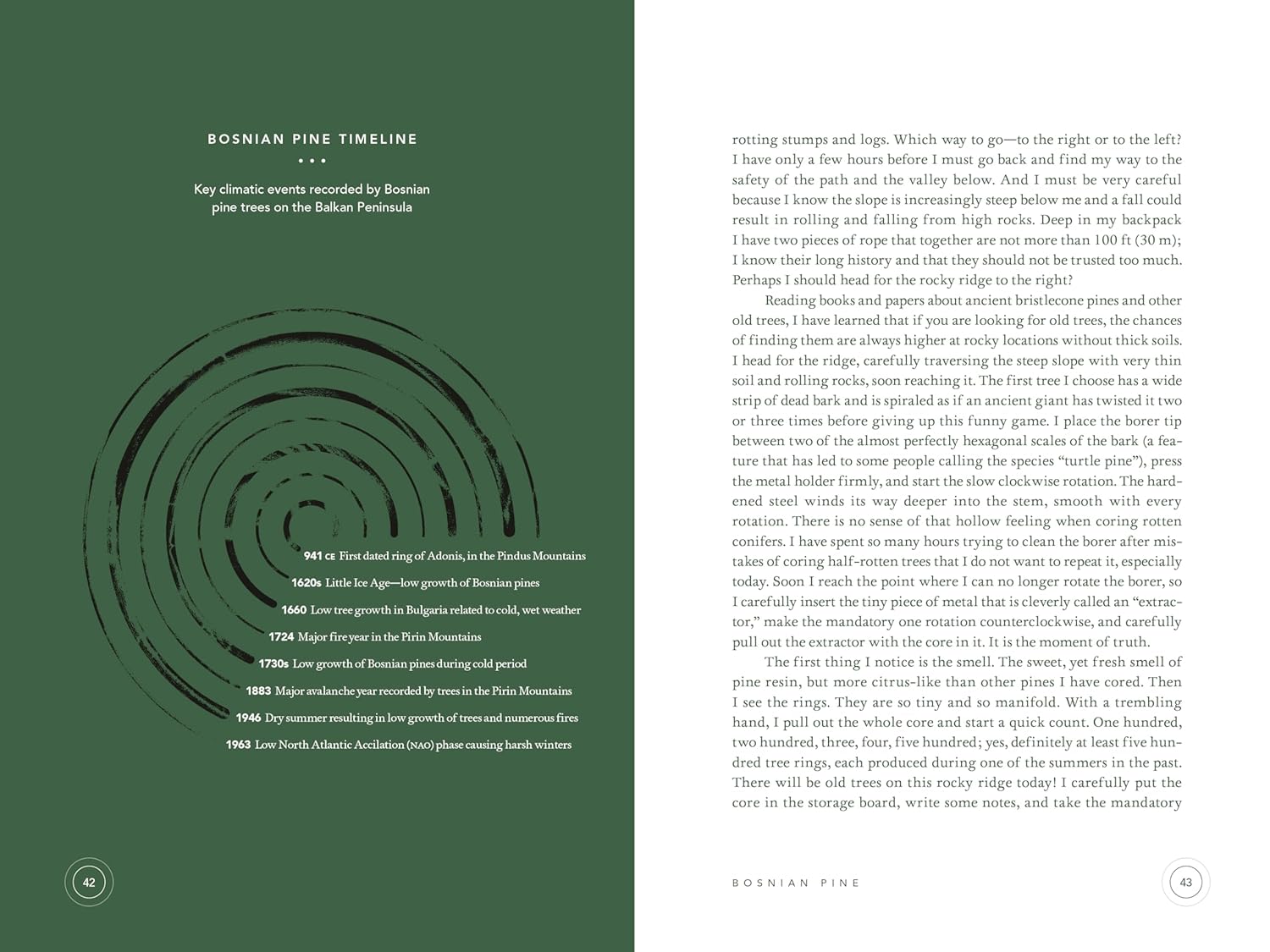 In the Circle of Ancient Trees: Our Oldest Trees and the Stories They Tell      Hardcover – October 14, 2025