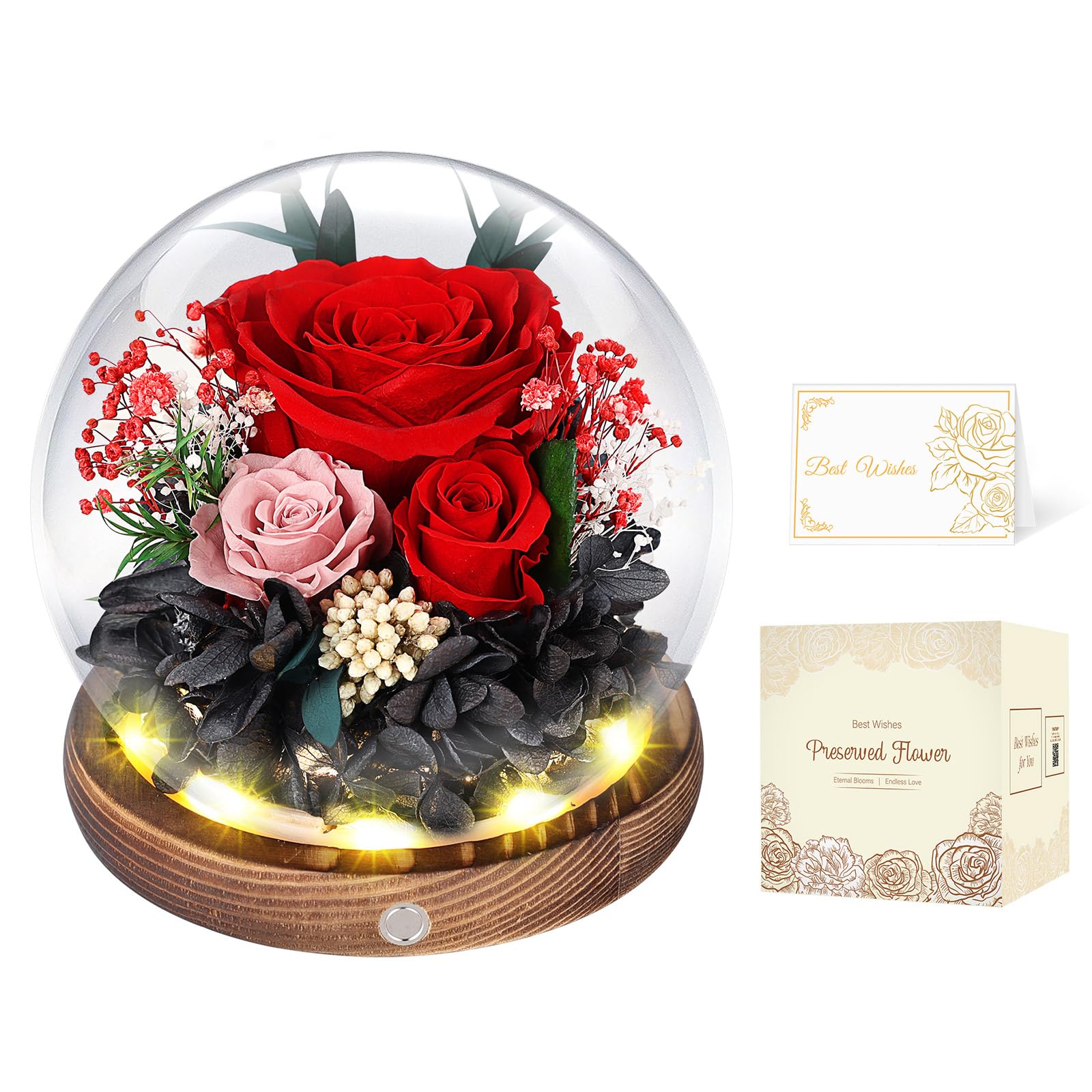 Rosa Stabilizzata Vera con Luci LED, Rosa Eterna La Bella e la Bestia, Regalo per Lei, Donna, Fidanzata, Mamma, Idee Regalo per San Valentino, Compleanno, Anniversario, Festa della Mamma (Rossa)