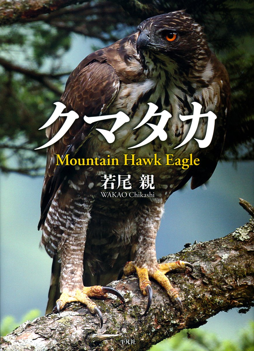 クマタカ 若尾 親 本 通販 Amazon