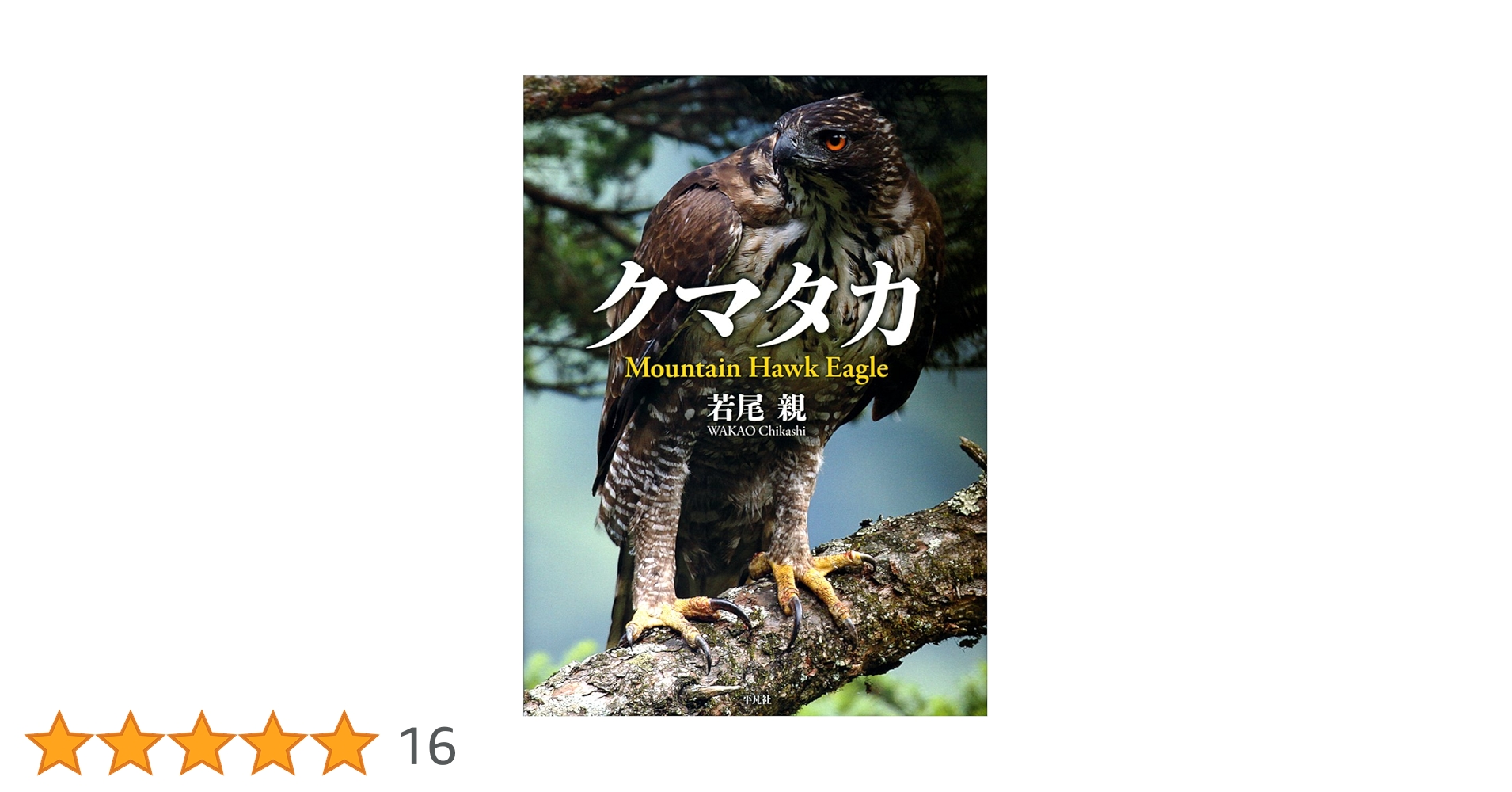 野鳥写真家若尾ちかしさんの額装カワセミ写真　おまけにクマタカ3枚イラスト5枚 野鳥写真家若尾ちかしさんの額装カワセミ写真 おまけにクマタカ3