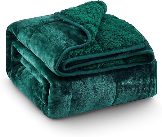 Super Fuzzy Soft Sherpa Fleece Weighted Blanket, 15 lbs Dual Sided Fluffy Heavy Weighted Blankets for Adults - No Bunching with Double Layers of Soft Inner Lining (48"x 72", 15 Pounds)