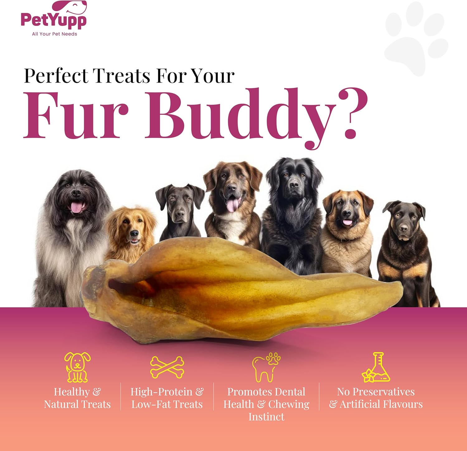 Water Buffalo Ears for Dogs, 10 Count - All Natural, Single Ingredient & Long-Lasting Beef Ears for Small, Medium & Large Dogs - Promotes Dental Health & Rawhide-Free Dog Treats