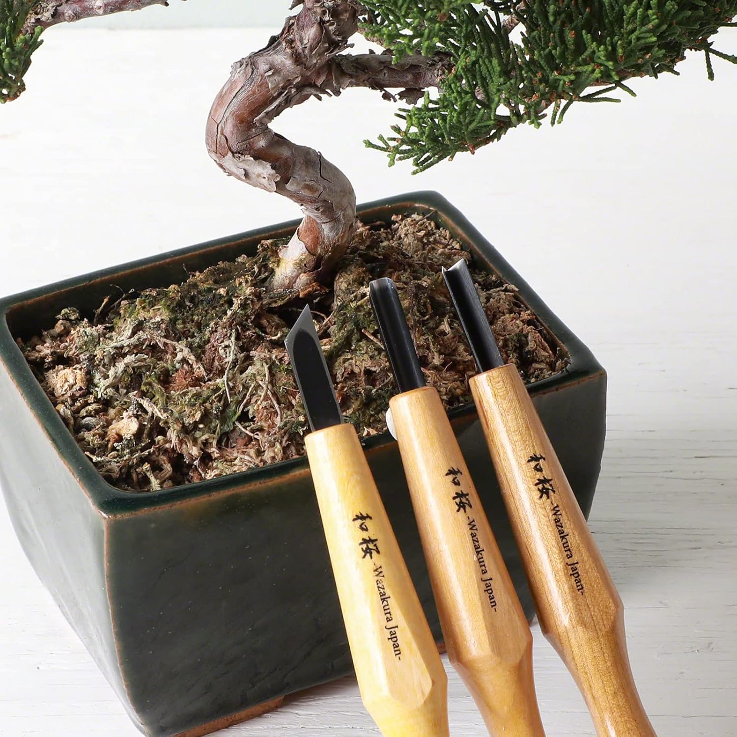 Wazakura 3PCS Bonsai Chisel Kit with Round Gouge, Single Bevel Skewed and V-Parting Tool, Hand Carving Tool Set for Jin Shari Making, Woodworking Knife Pack (3PCS Bonsai Chisel Kit)