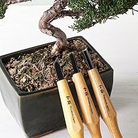 Vista 3 de Wazakura Kit de cincel de bonsái de 3 piezas con gubias redondas, bisel único sesgado y herramienta de separación en V, juego de herramientas
