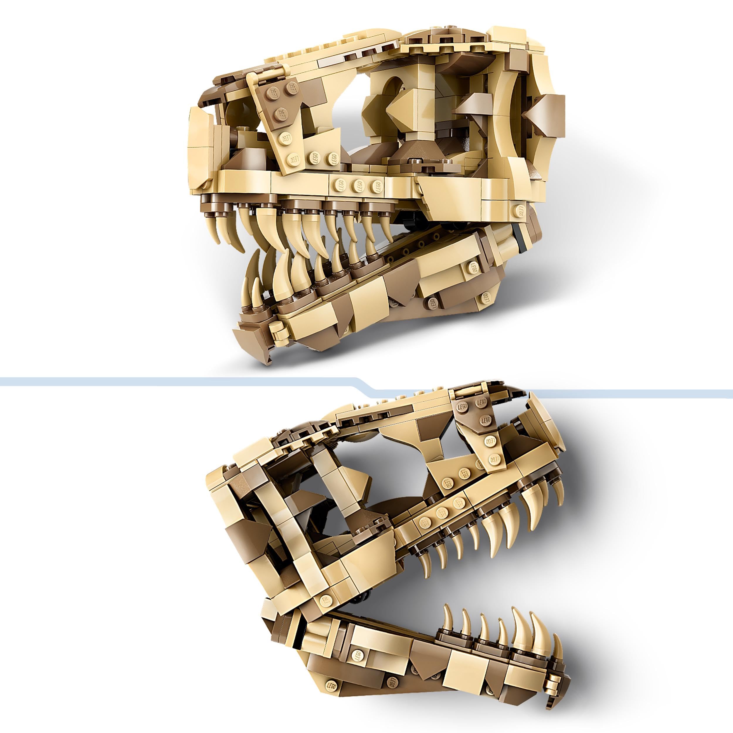Amazon.com: LEGO 76964 Jurassic World Dinosaurier-Fossilien: T